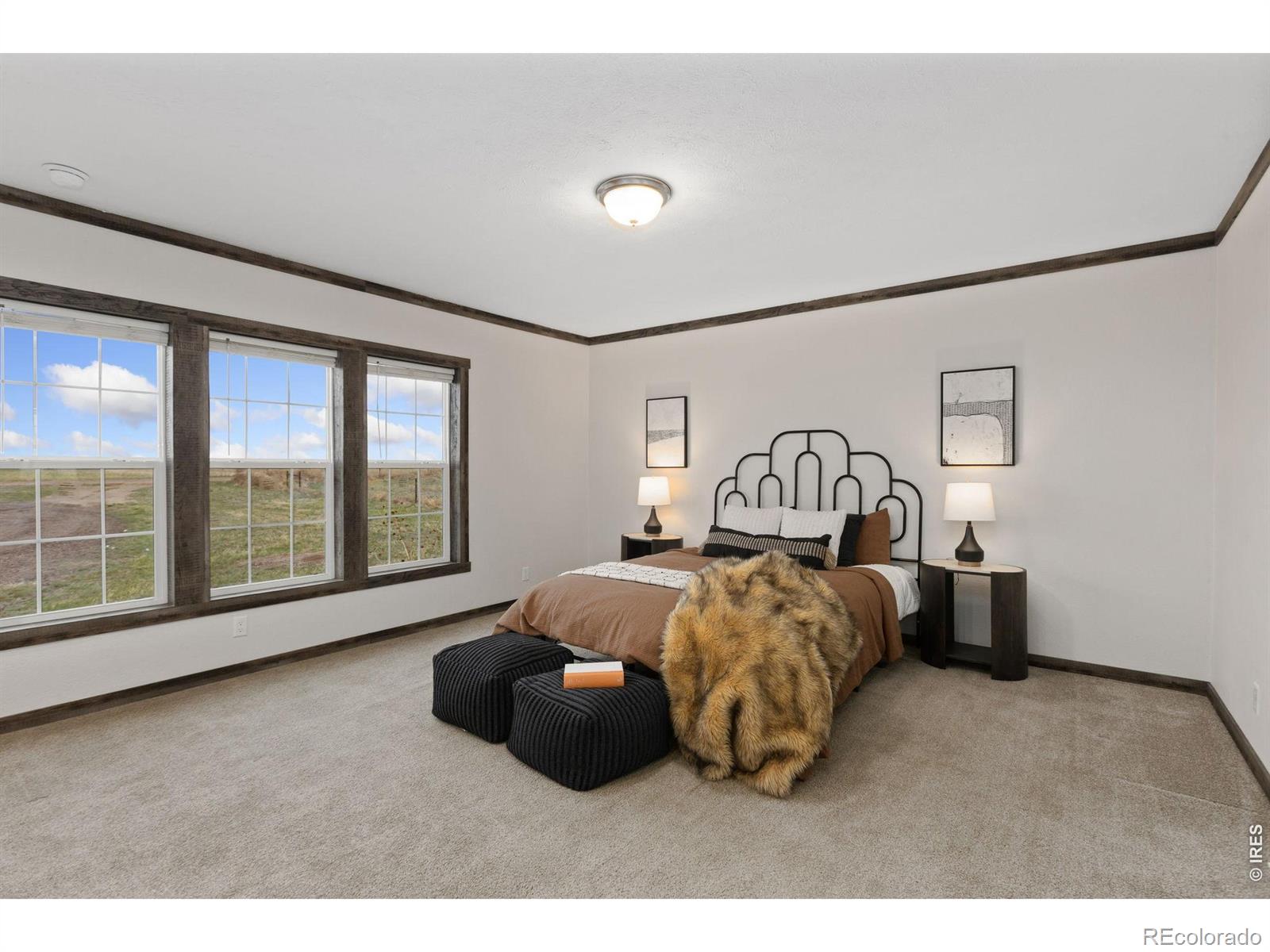 MLS Image #11 for 39771  county road 80 ,briggsdale, Colorado
