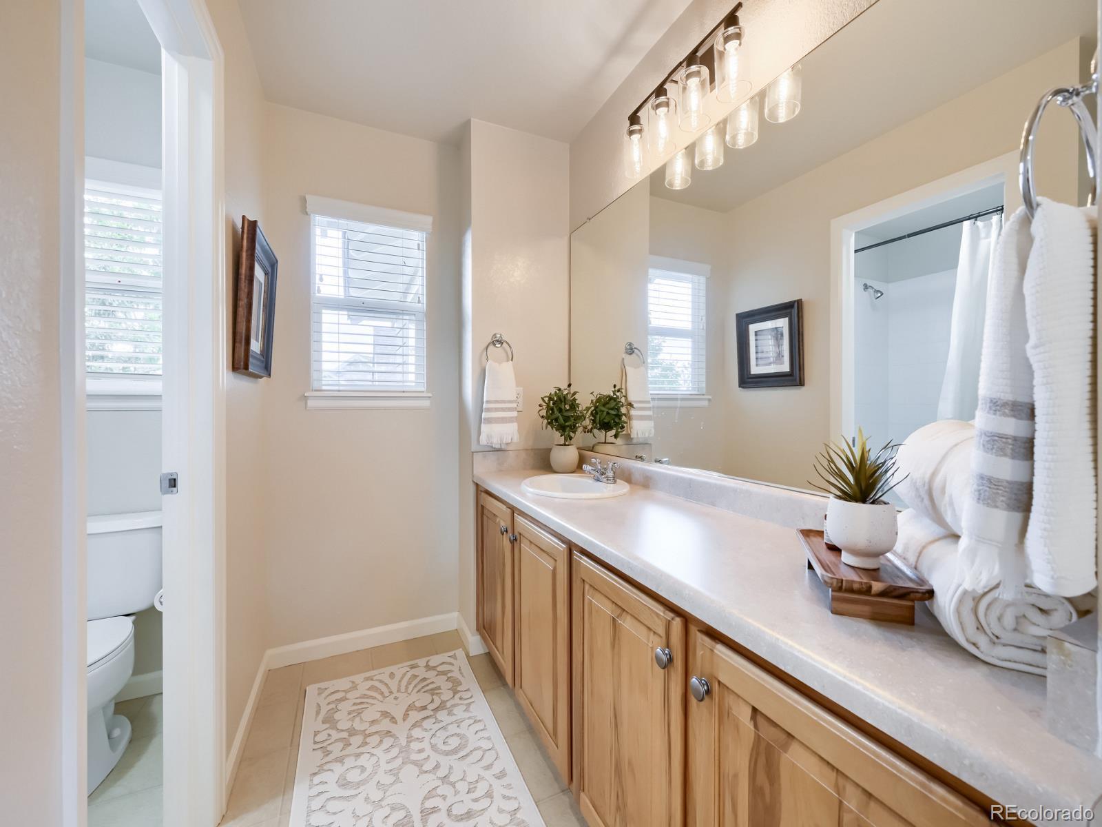 MLS Image #22 for 8327  braun court,arvada, Colorado