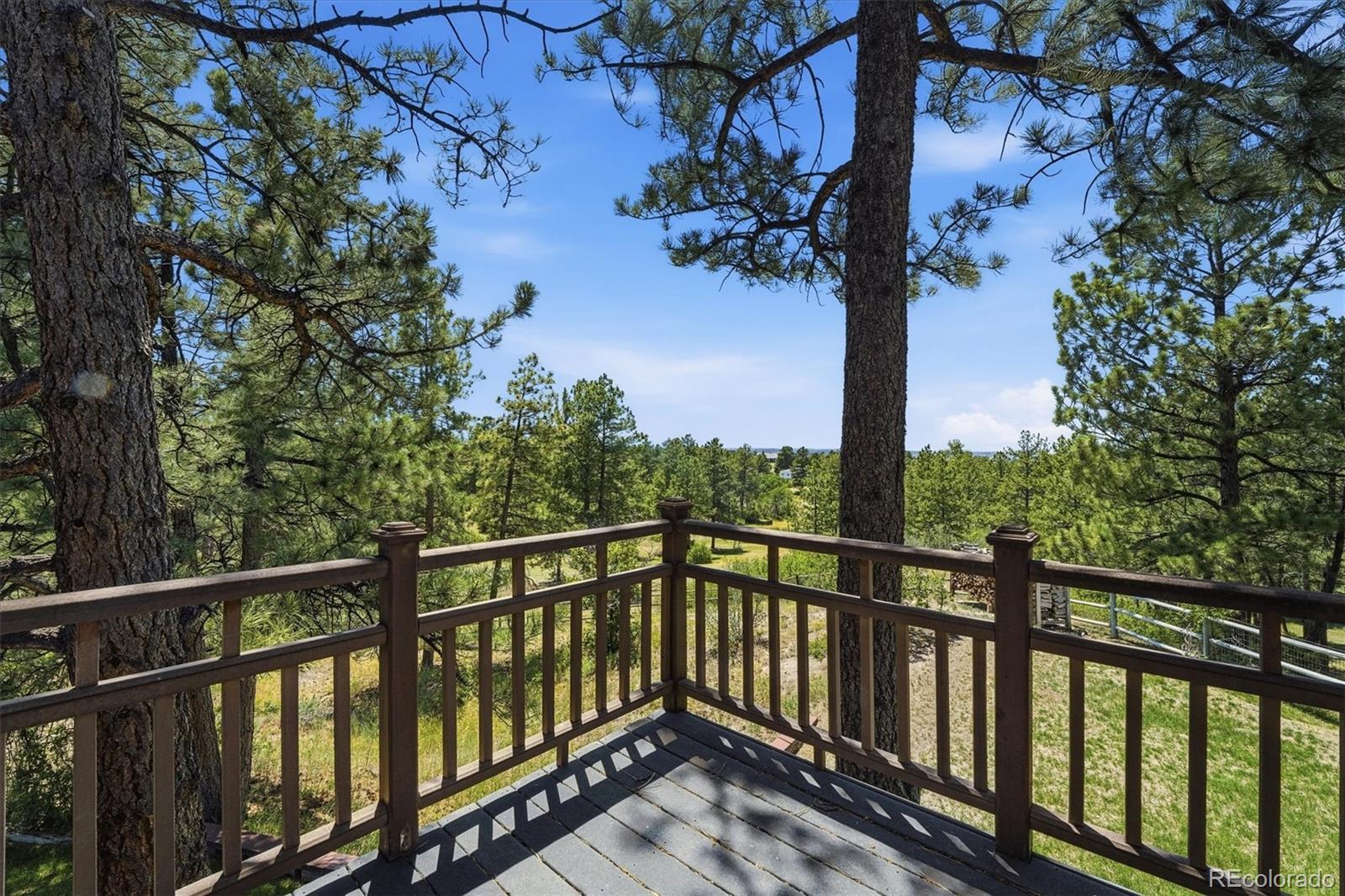 MLS Image #24 for 2321  burning ridge drive,franktown, Colorado