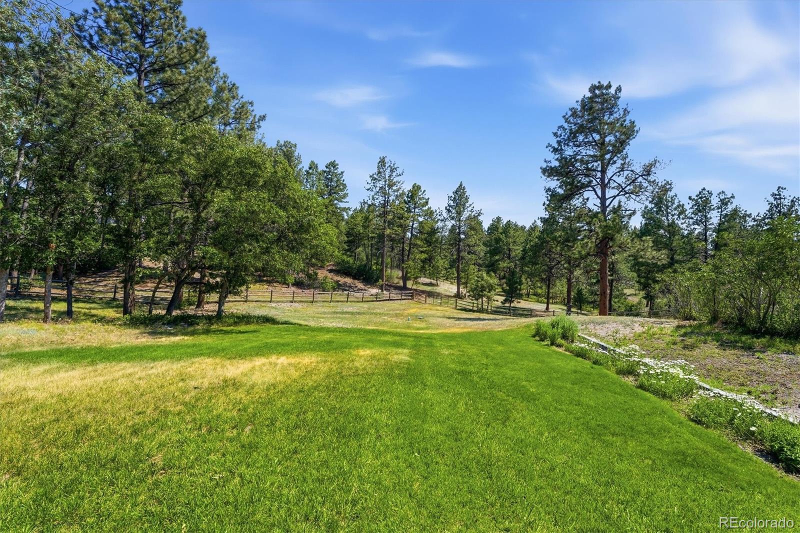 MLS Image #44 for 2321  burning ridge drive,franktown, Colorado