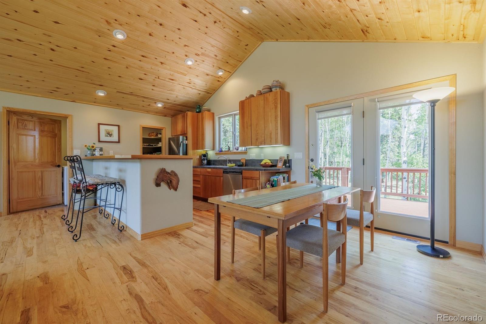 MLS Image #10 for 392  aspen village road,divide, Colorado