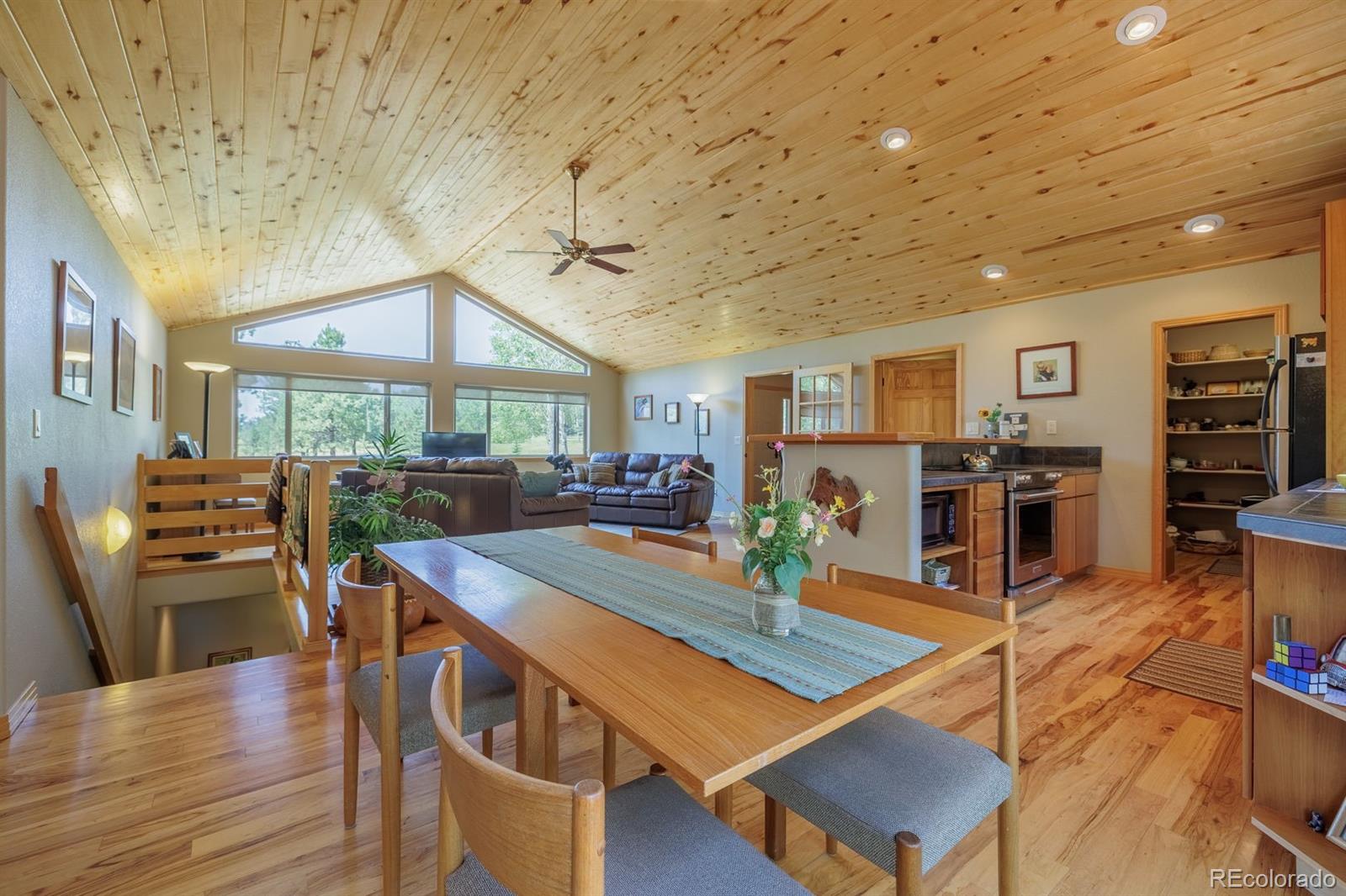 MLS Image #11 for 392  aspen village road,divide, Colorado
