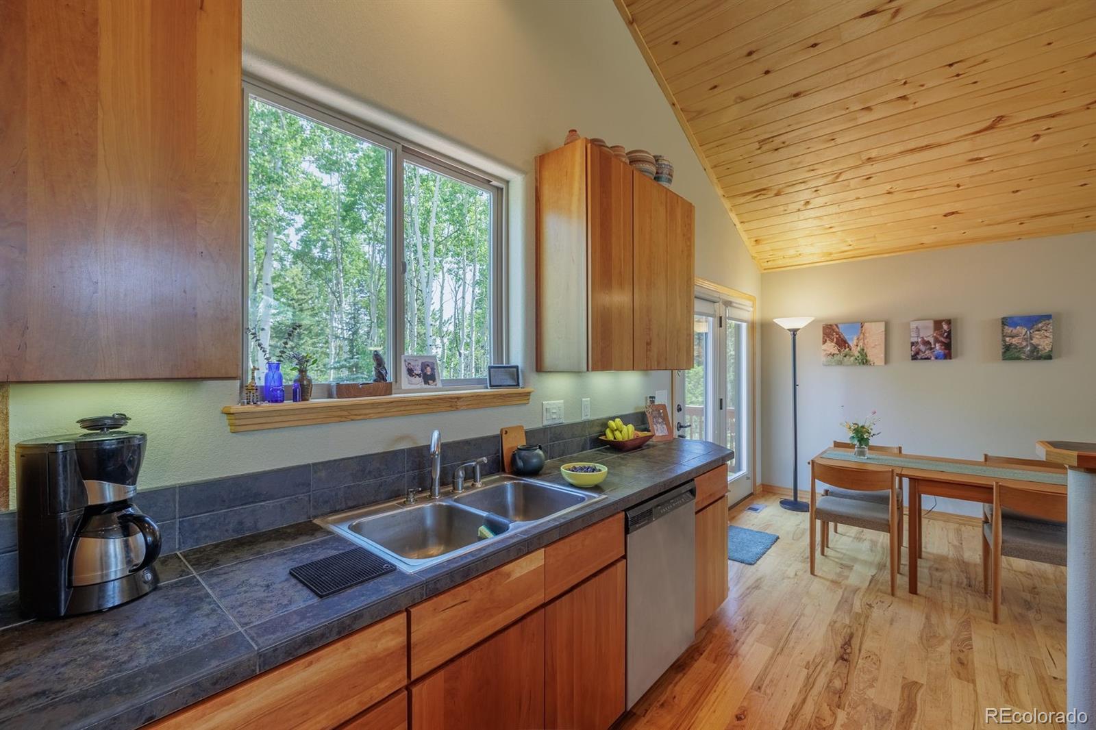 MLS Image #13 for 392  aspen village road,divide, Colorado