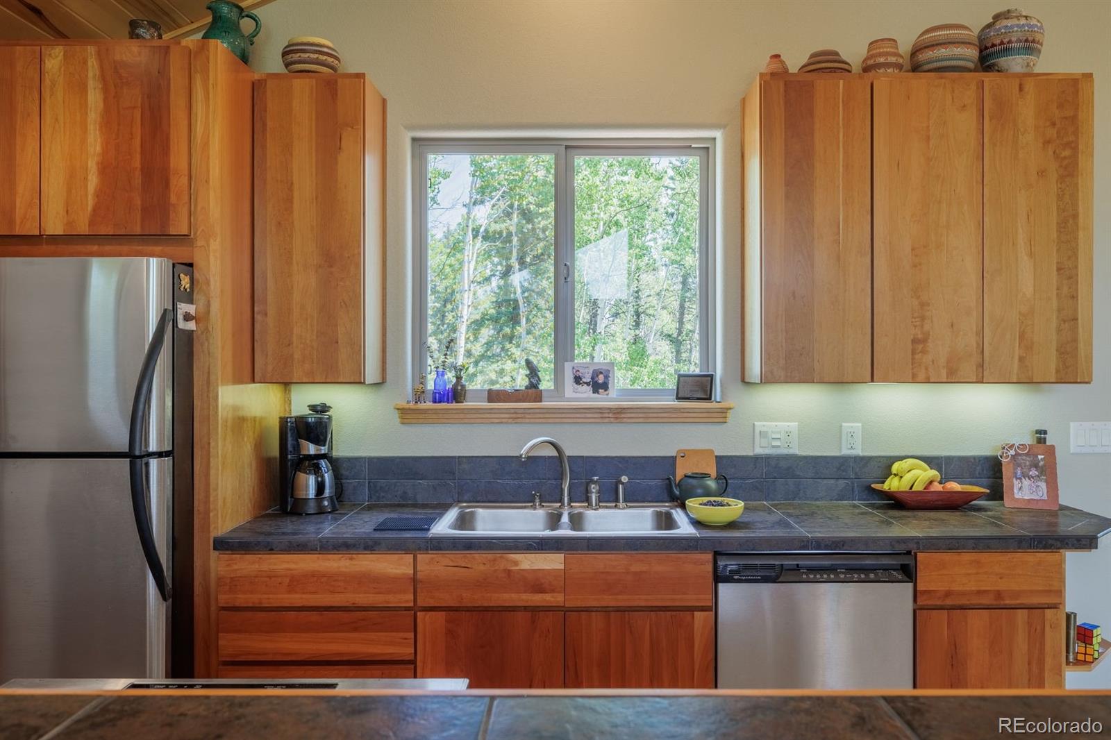 MLS Image #14 for 392  aspen village road,divide, Colorado