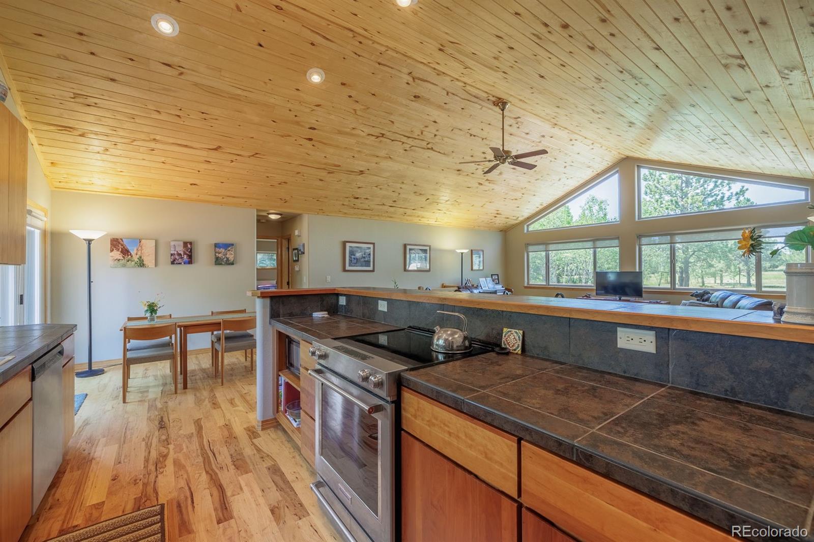 MLS Image #15 for 392  aspen village road,divide, Colorado