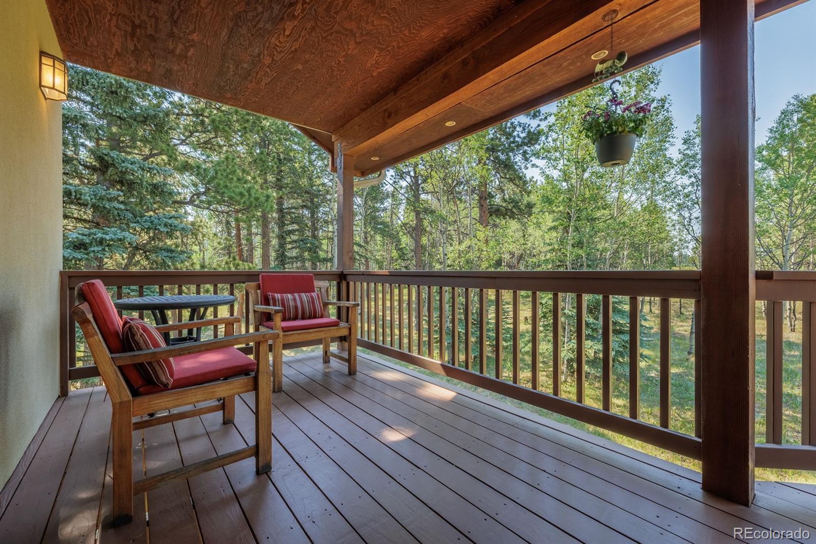 MLS Image #18 for 392  aspen village road,divide, Colorado