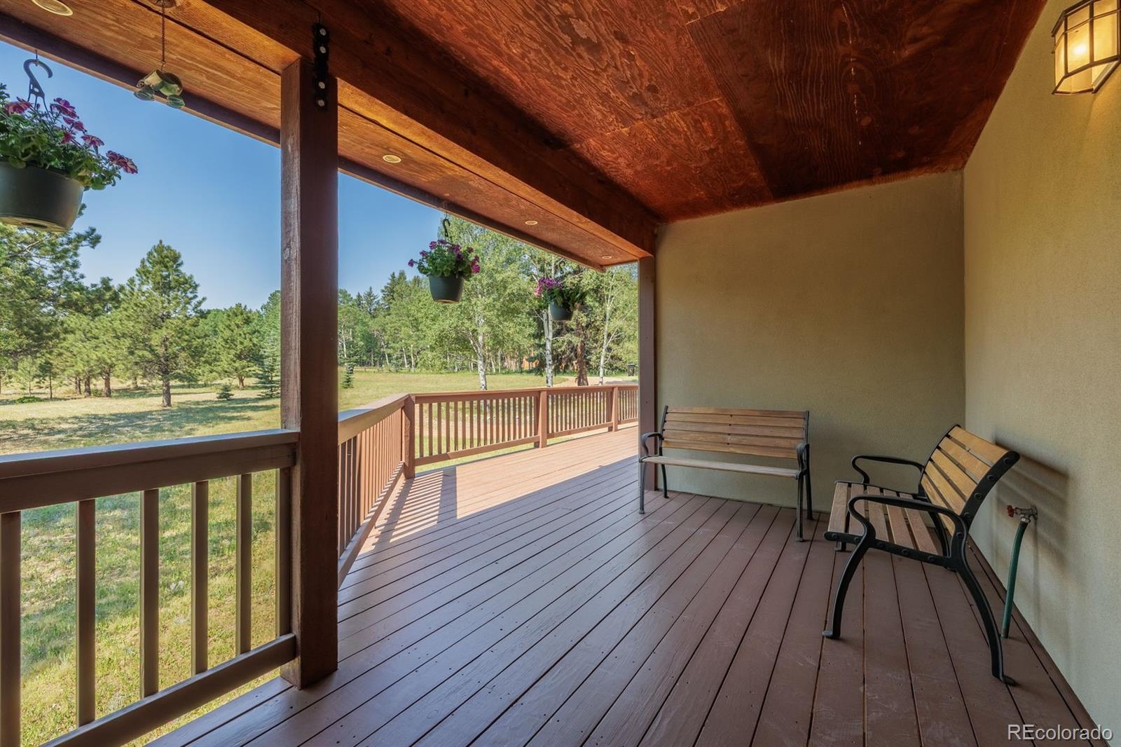 MLS Image #19 for 392  aspen village road,divide, Colorado