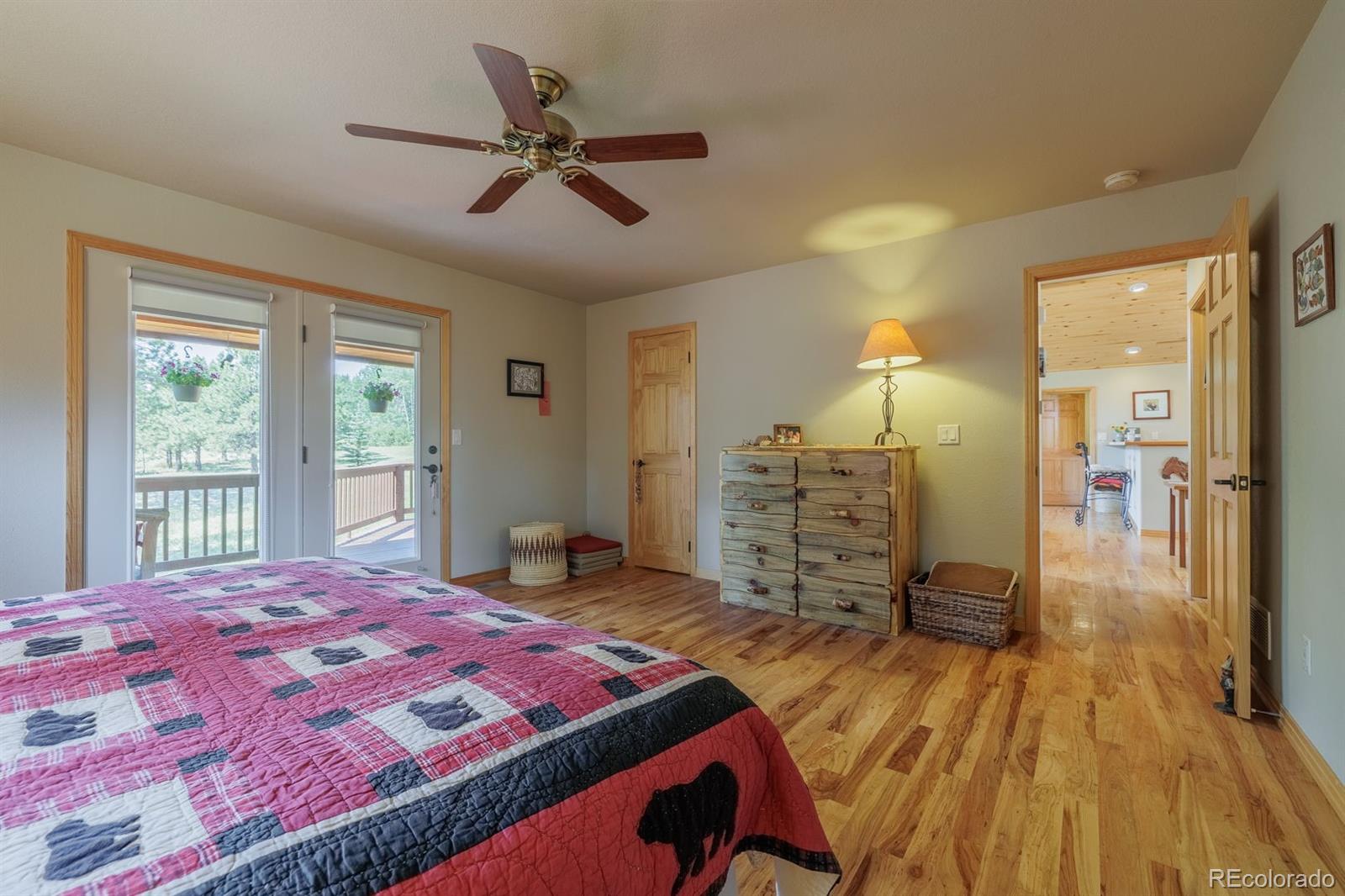 MLS Image #21 for 392  aspen village road,divide, Colorado