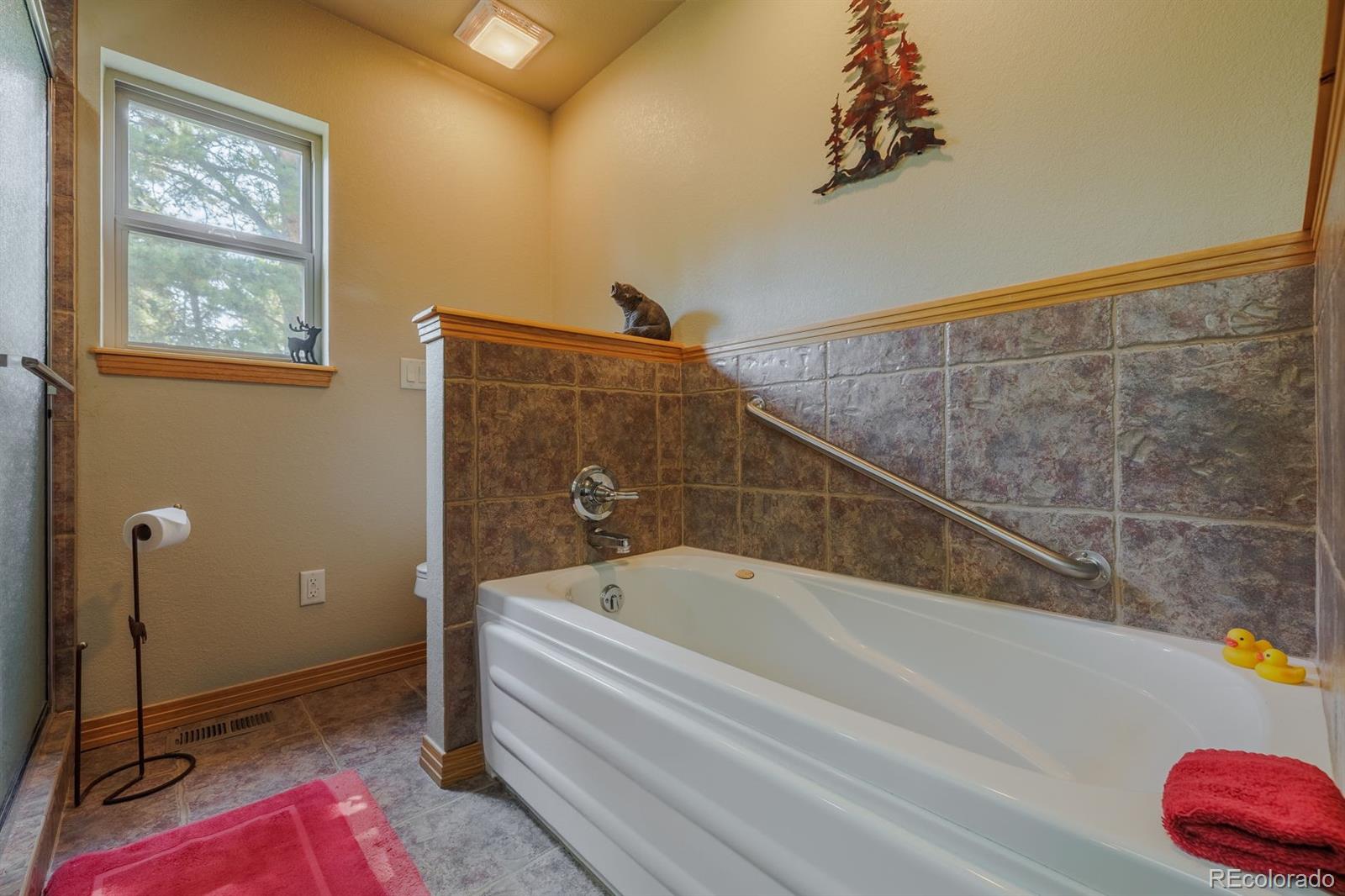 MLS Image #24 for 392  aspen village road,divide, Colorado