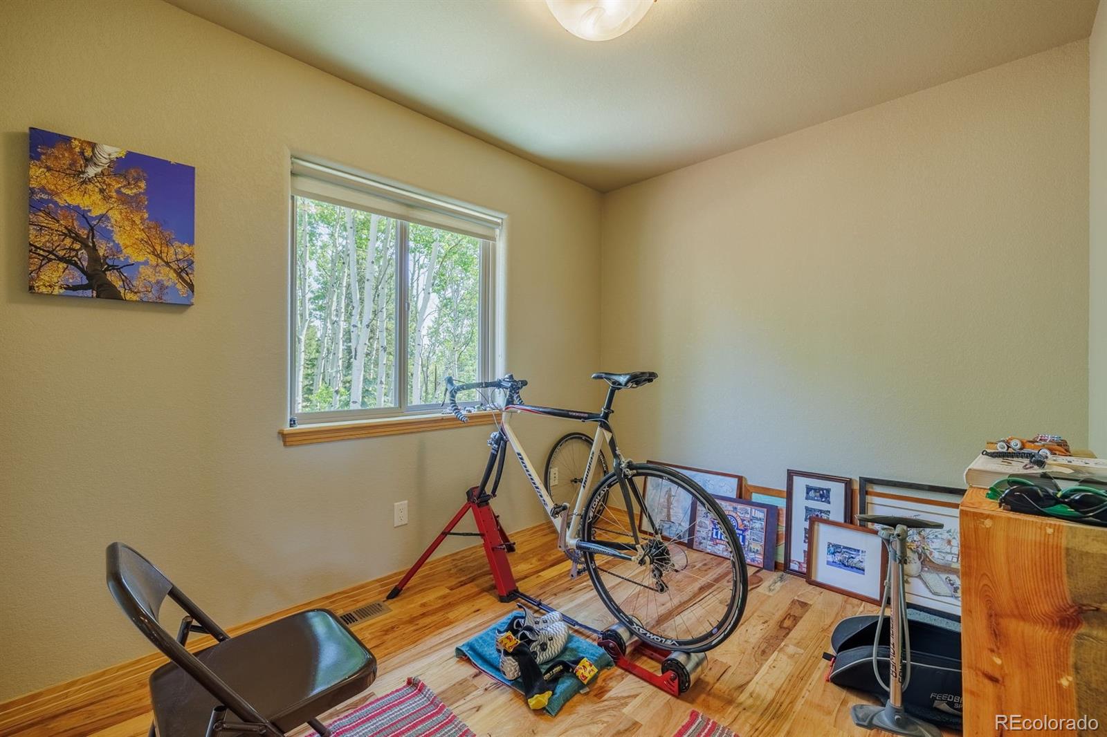 MLS Image #25 for 392  aspen village road,divide, Colorado