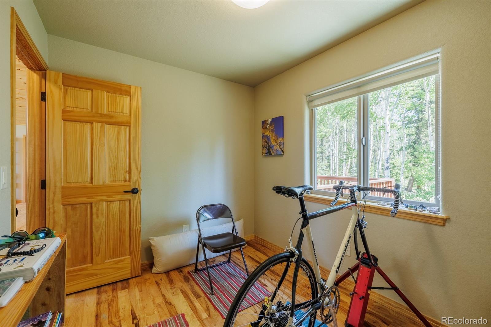 MLS Image #26 for 392  aspen village road,divide, Colorado