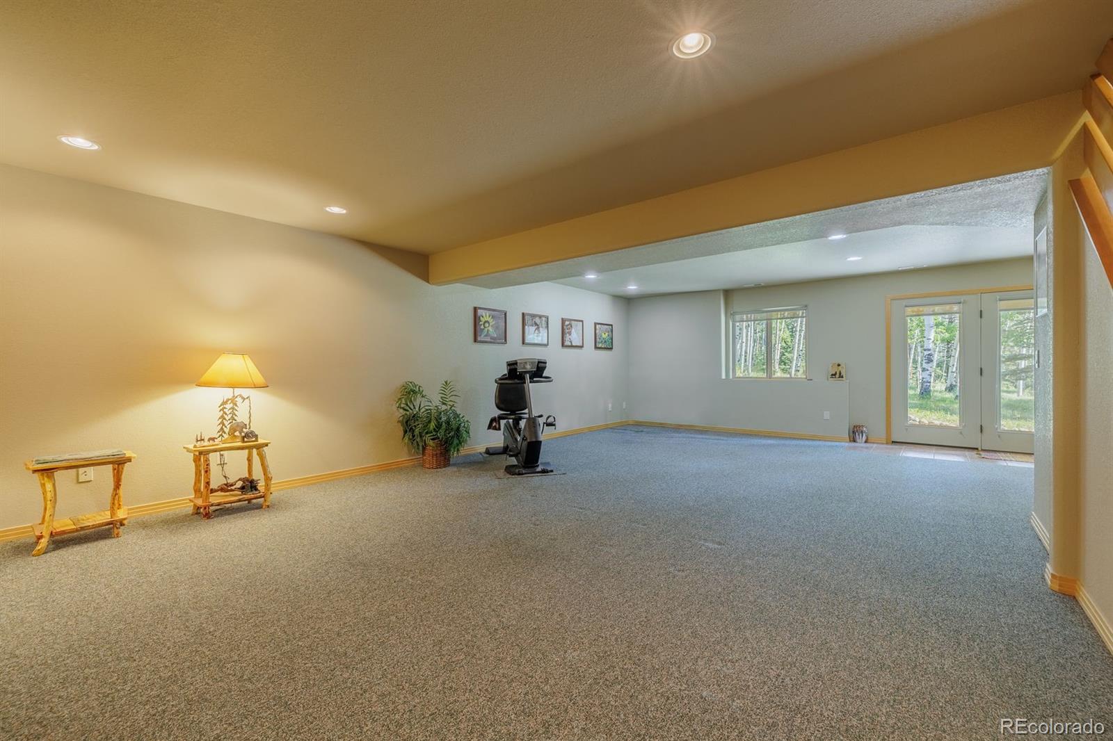 MLS Image #28 for 392  aspen village road,divide, Colorado