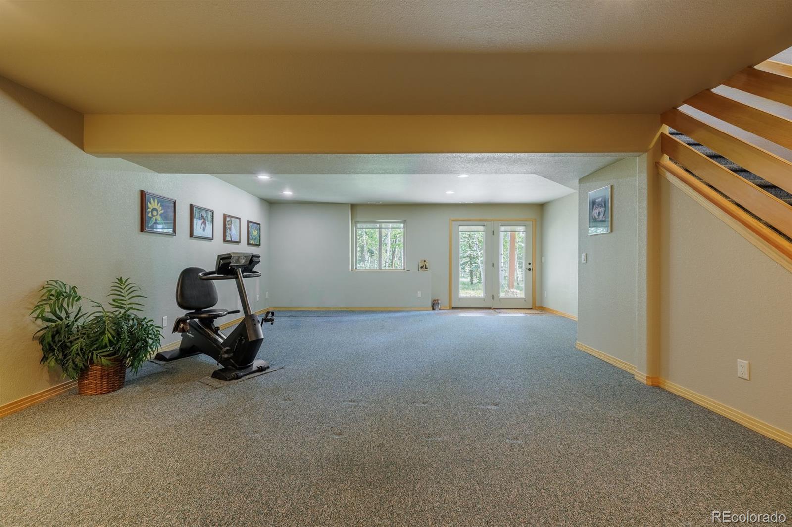 MLS Image #29 for 392  aspen village road,divide, Colorado