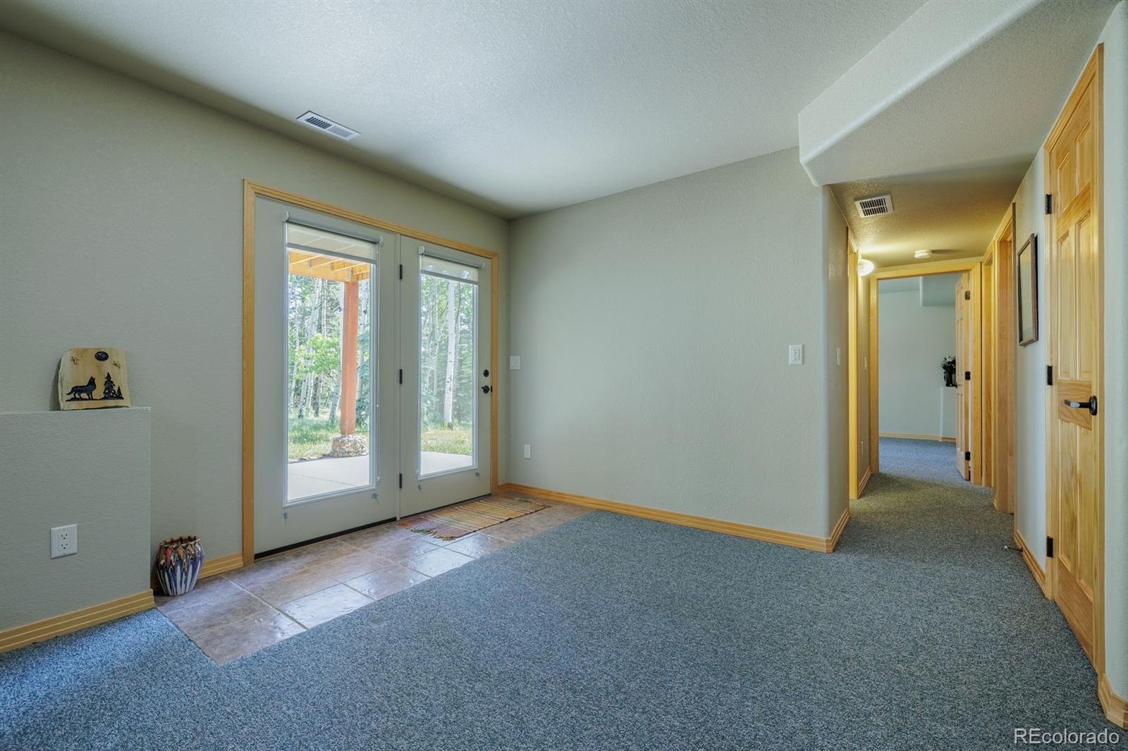 MLS Image #31 for 392  aspen village road,divide, Colorado