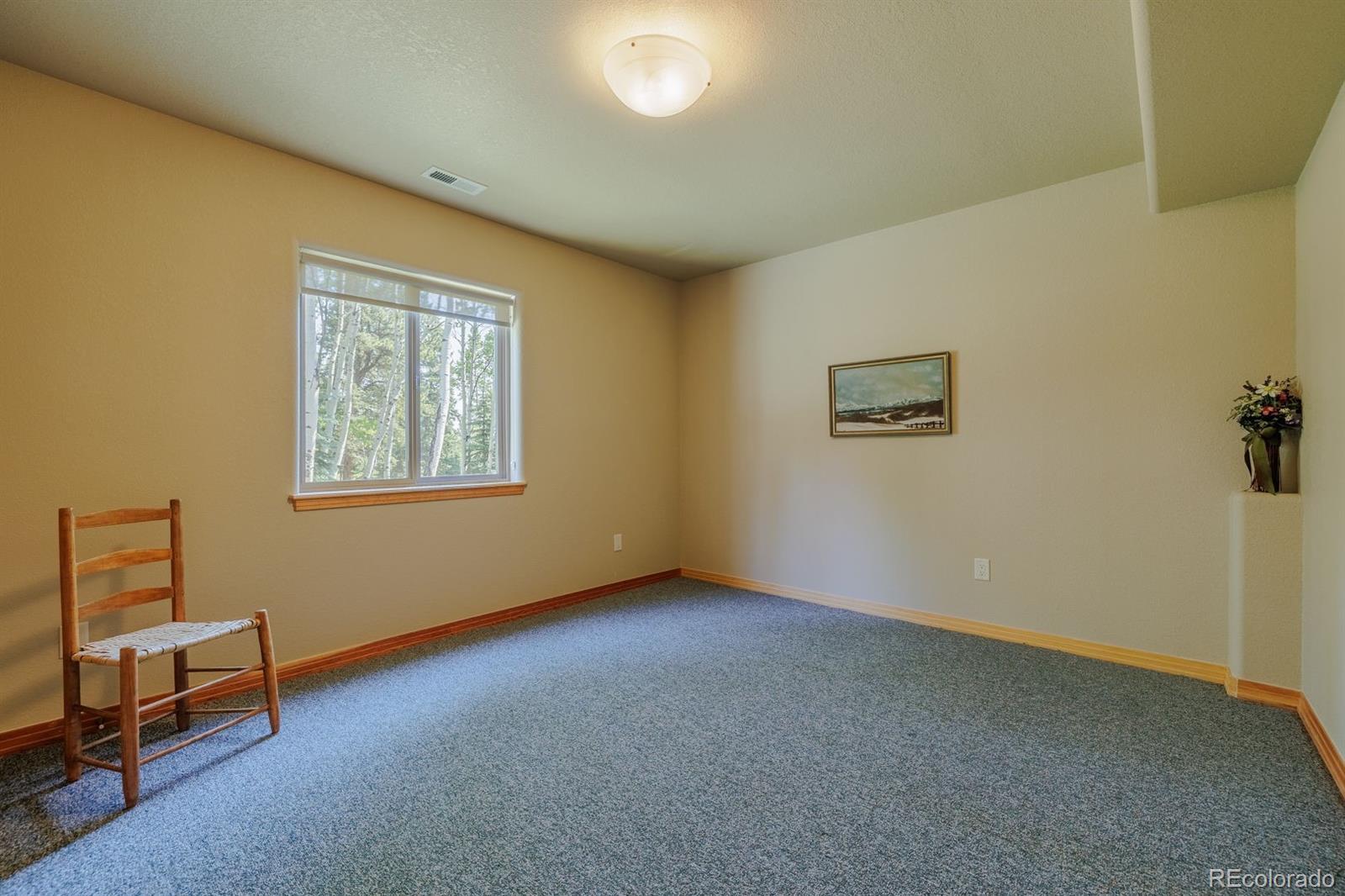 MLS Image #32 for 392  aspen village road,divide, Colorado