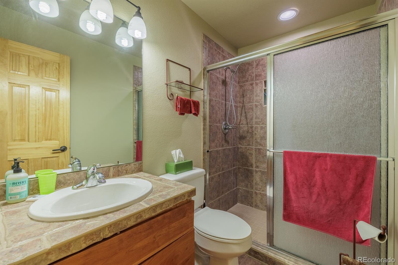 MLS Image #36 for 392  aspen village road,divide, Colorado
