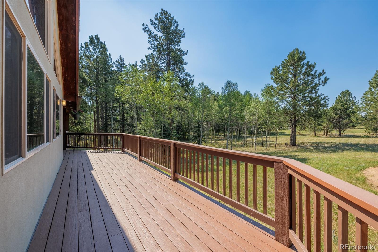 MLS Image #4 for 392  aspen village road,divide, Colorado