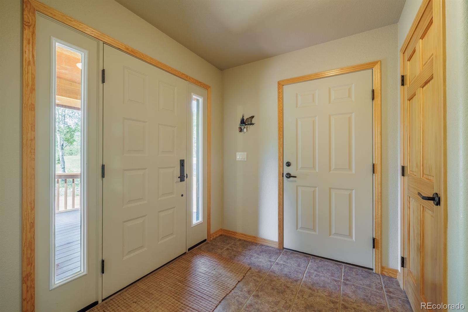 MLS Image #6 for 392  aspen village road,divide, Colorado