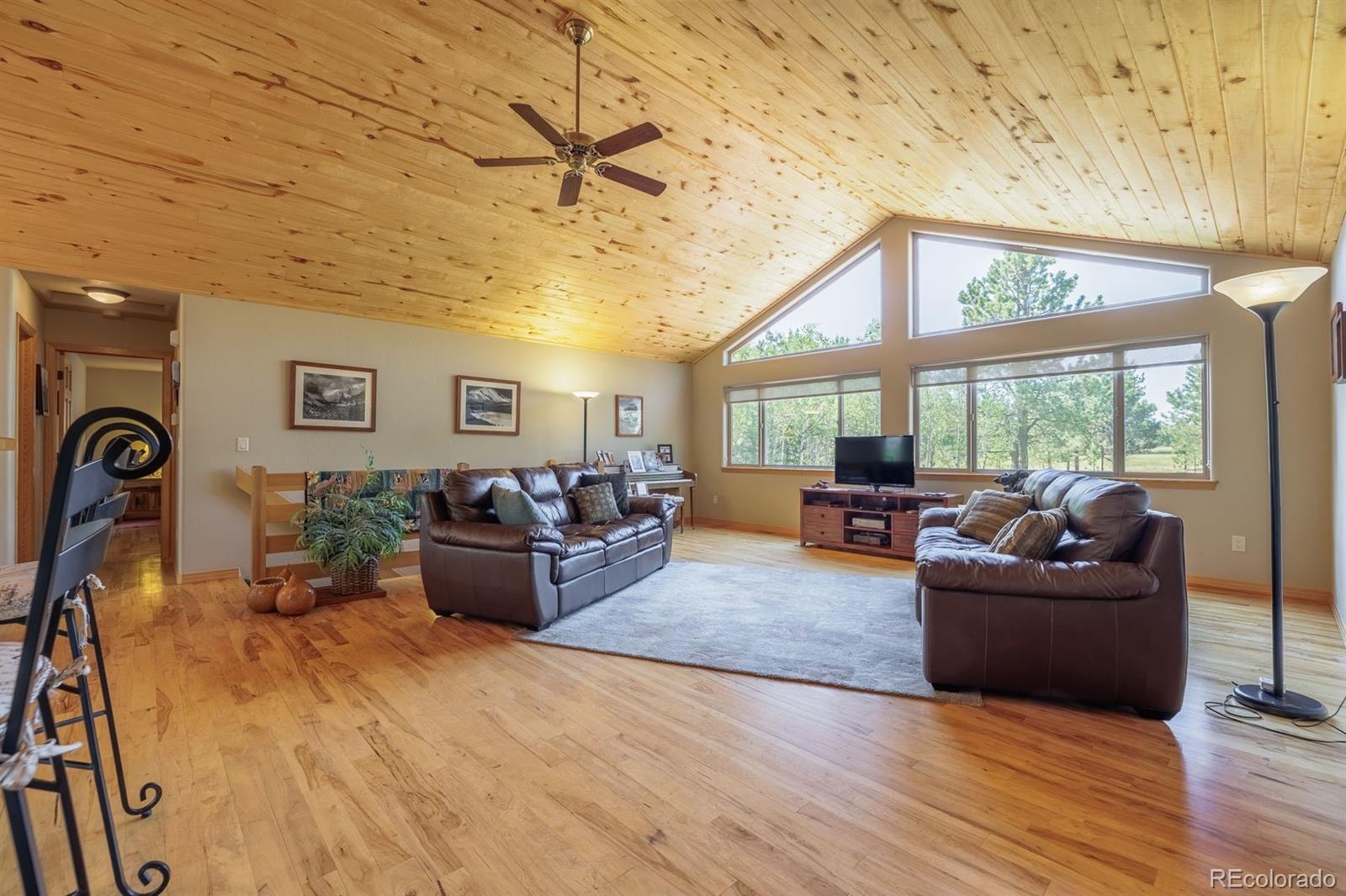 MLS Image #7 for 392  aspen village road,divide, Colorado