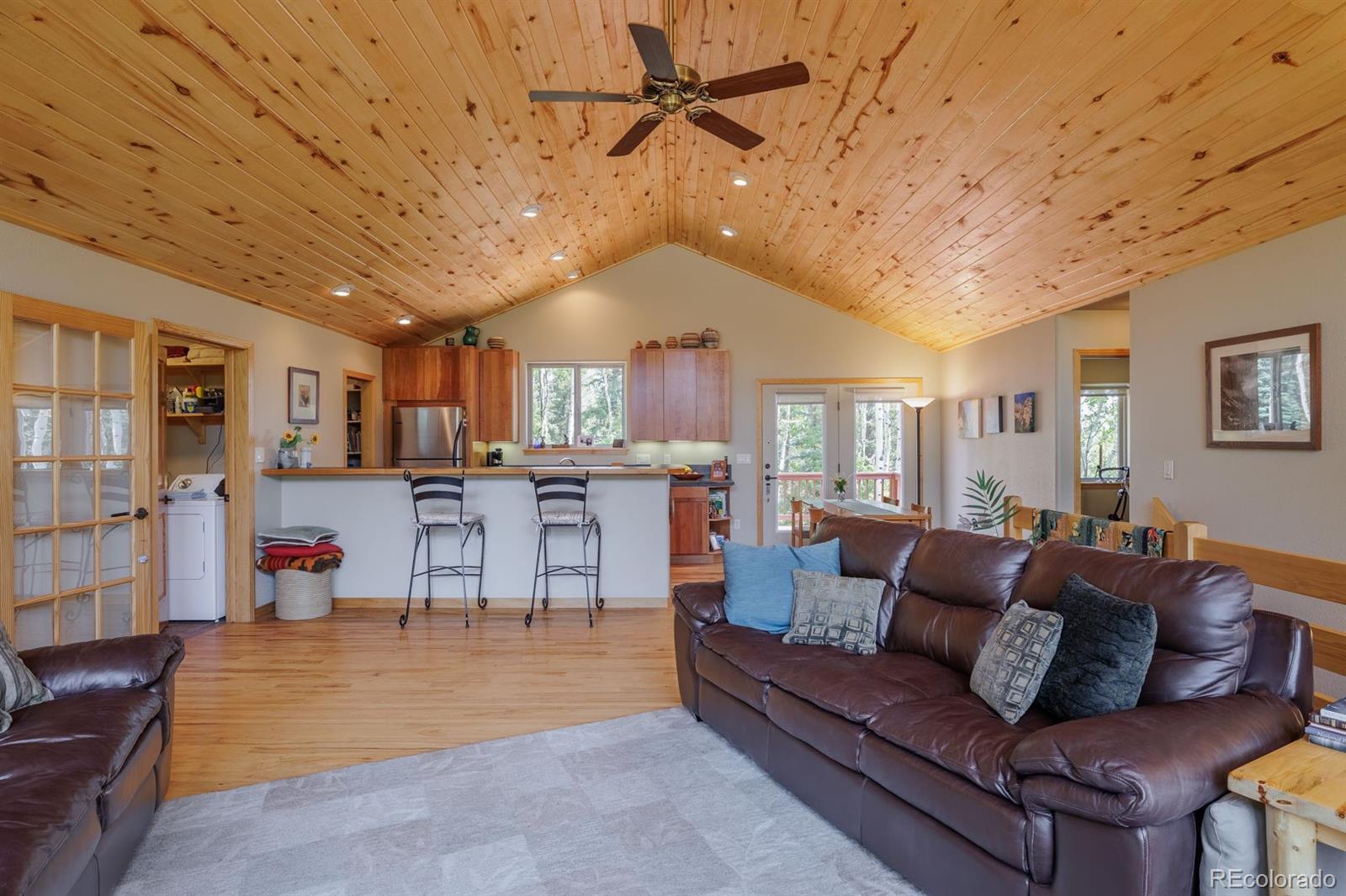 MLS Image #8 for 392  aspen village road,divide, Colorado