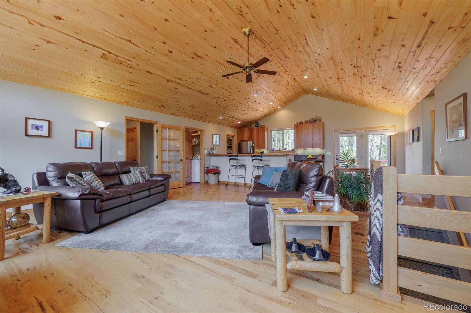 MLS Image #9 for 392  aspen village road,divide, Colorado