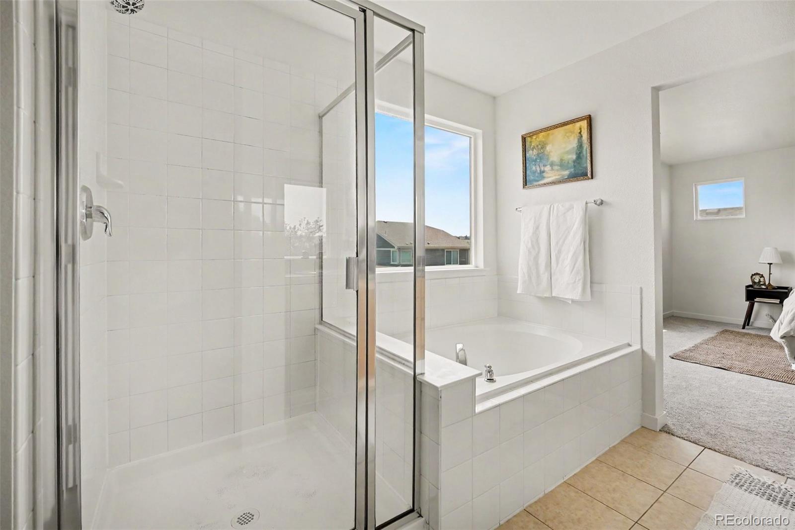 MLS Image #21 for 9044  ellis way,arvada, Colorado