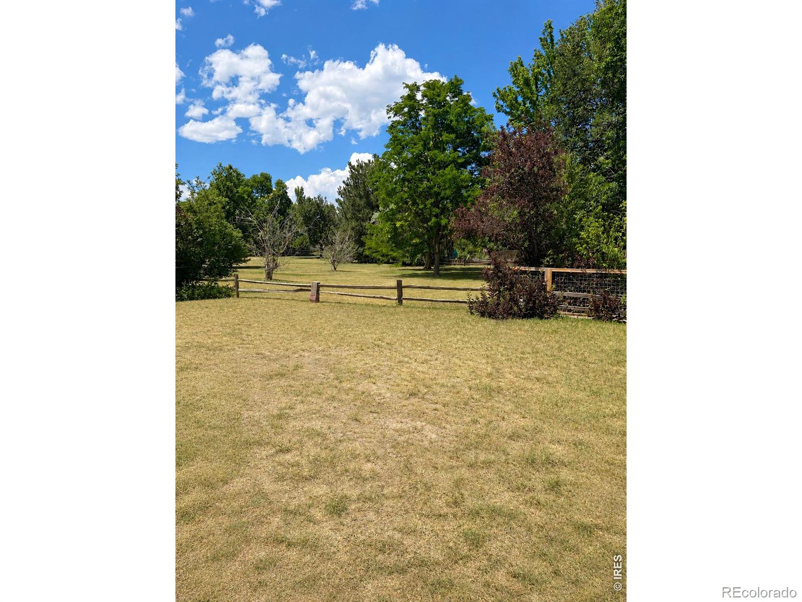 MLS Image #1 for 305 w sycamore lane,louisville, Colorado