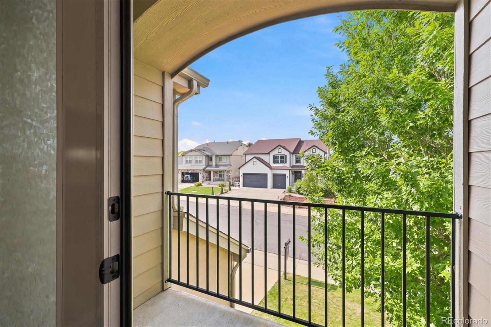 MLS Image #12 for 5507  mustang drive,longmont, Colorado