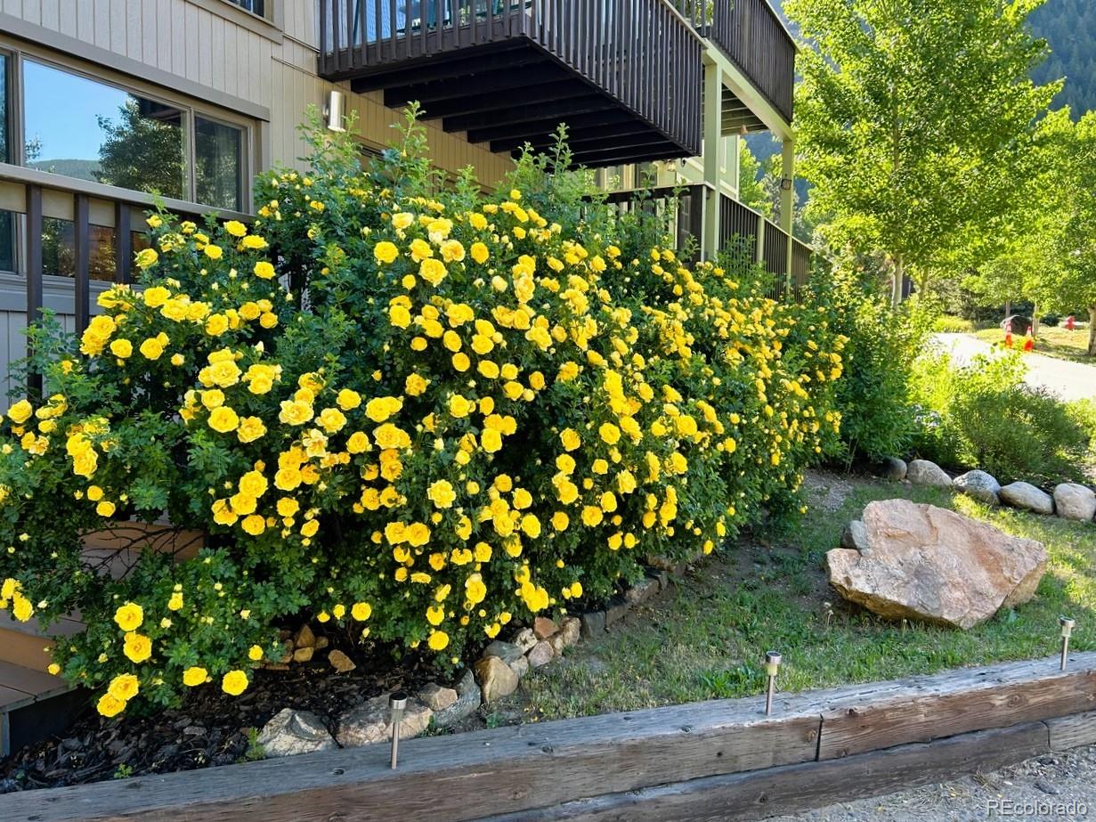 MLS Image #8 for 1702  clear creek drive,georgetown, Colorado