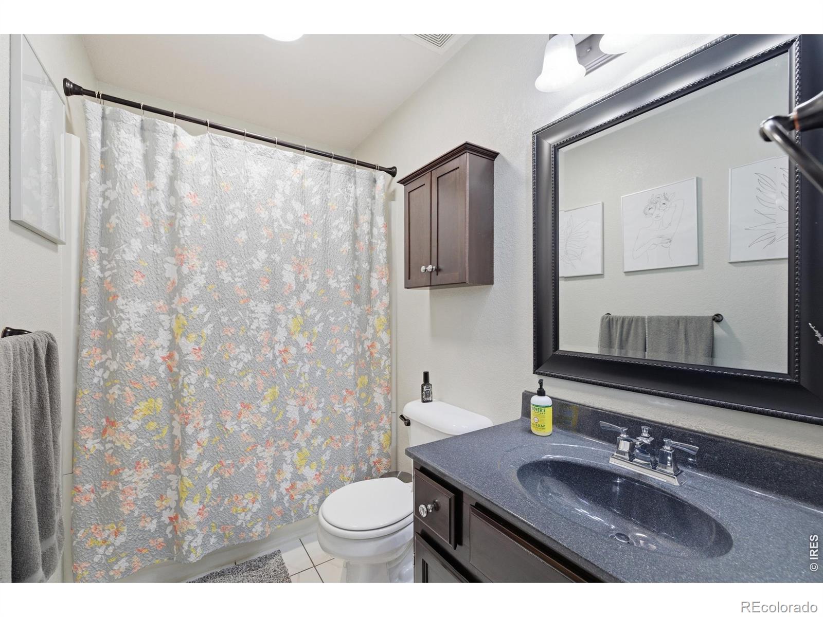 MLS Image #11 for 216  chestnut street,windsor, Colorado