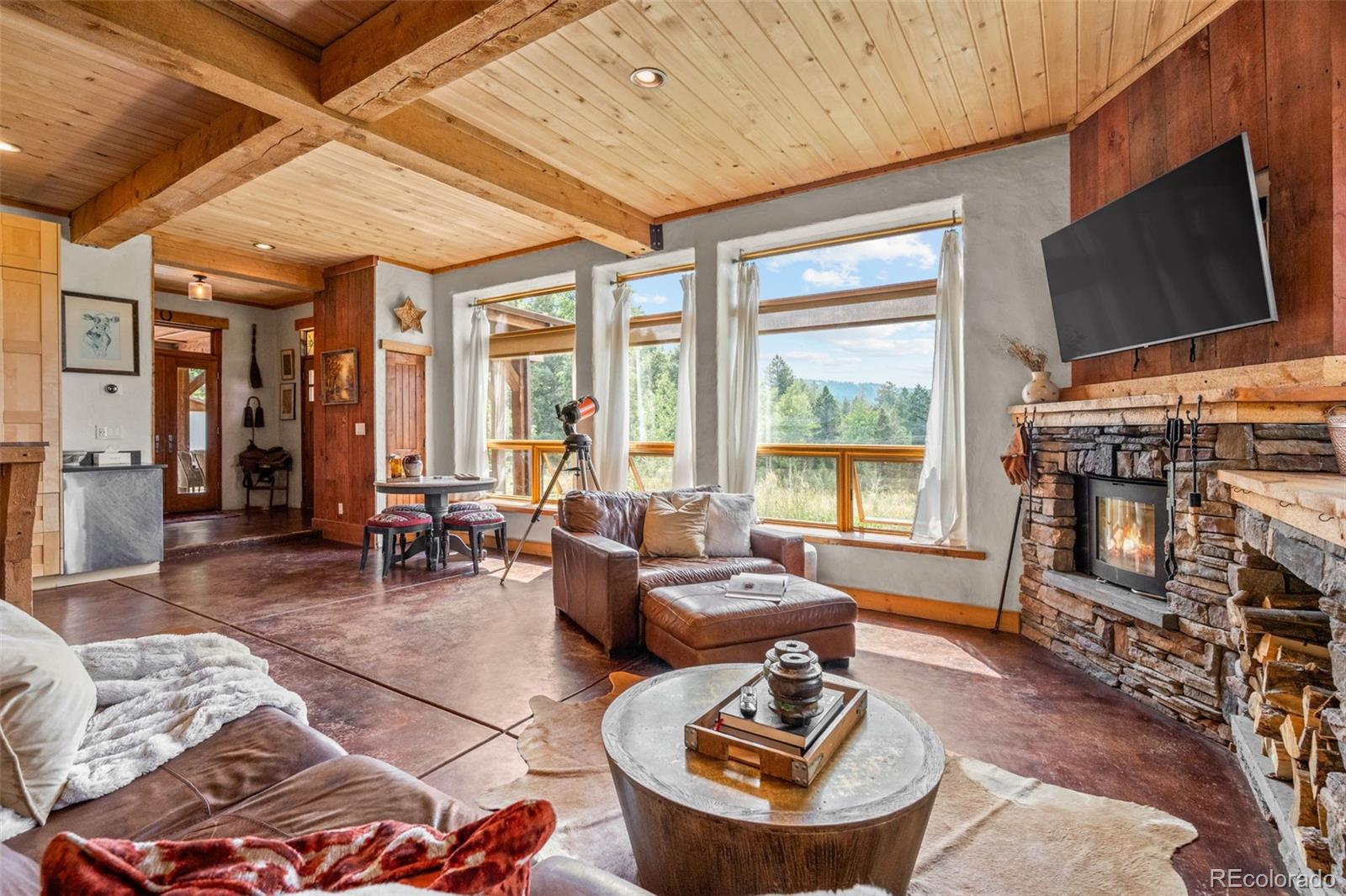 MLS Image #10 for 12345 s critchell lane,littleton, Colorado
