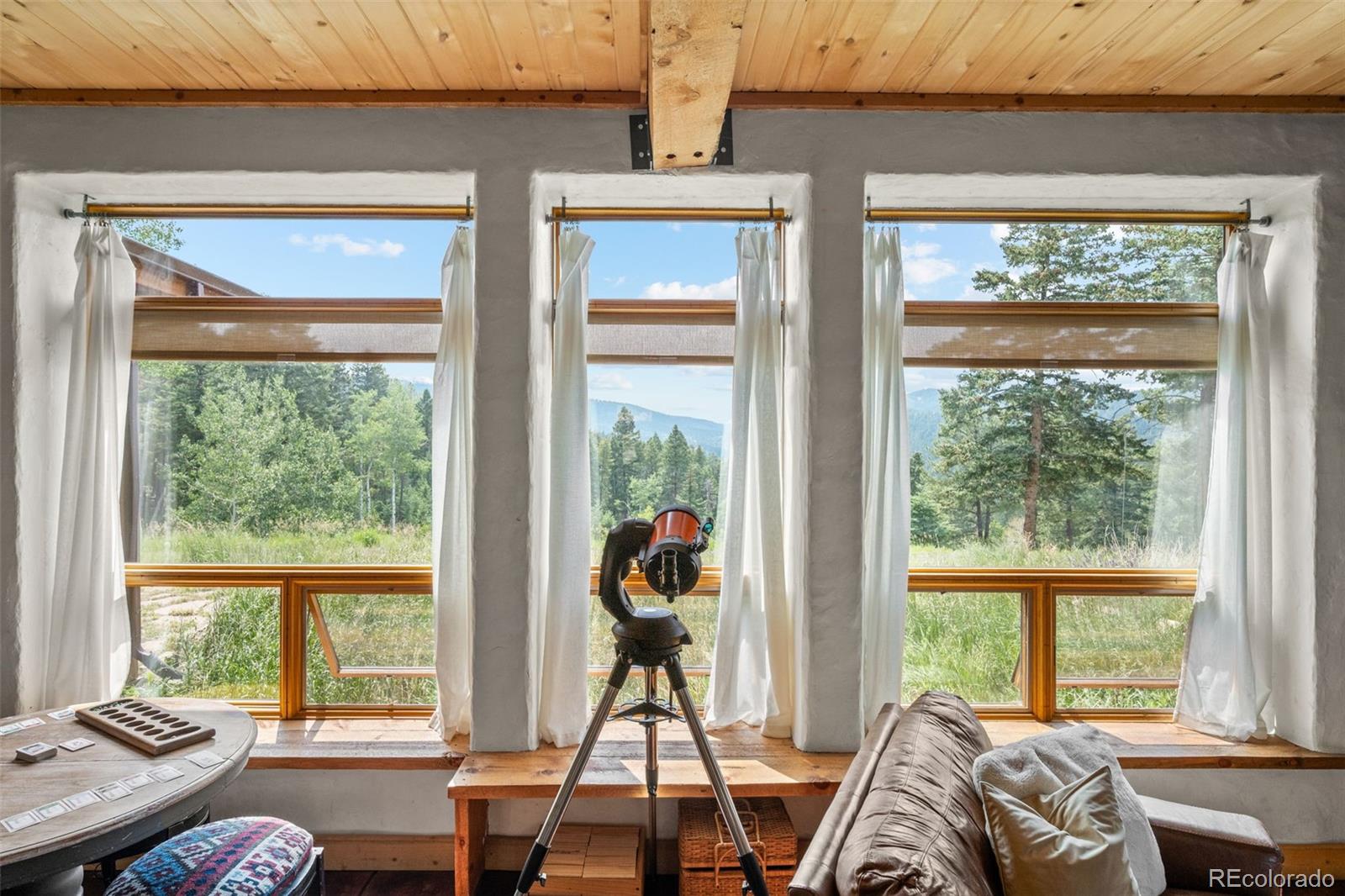 MLS Image #12 for 12345 s critchell lane,littleton, Colorado