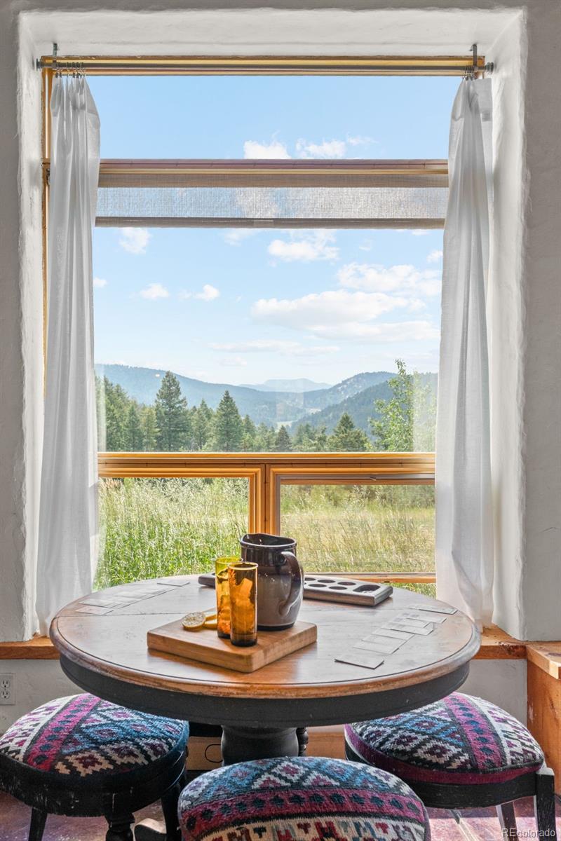 MLS Image #13 for 12345 s critchell lane,littleton, Colorado