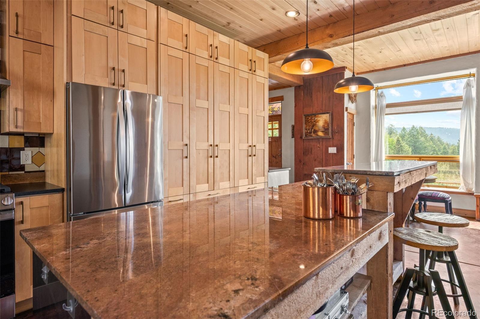 MLS Image #18 for 12345 s critchell lane,littleton, Colorado
