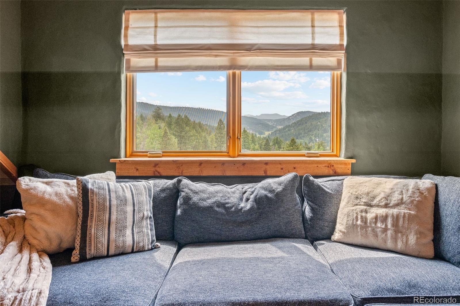 MLS Image #23 for 12345 s critchell lane,littleton, Colorado