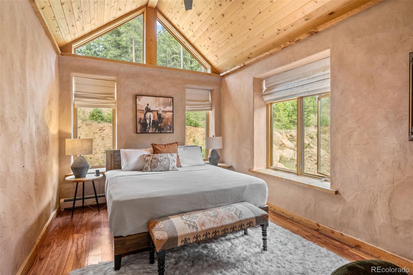 MLS Image #24 for 12345 s critchell lane,littleton, Colorado