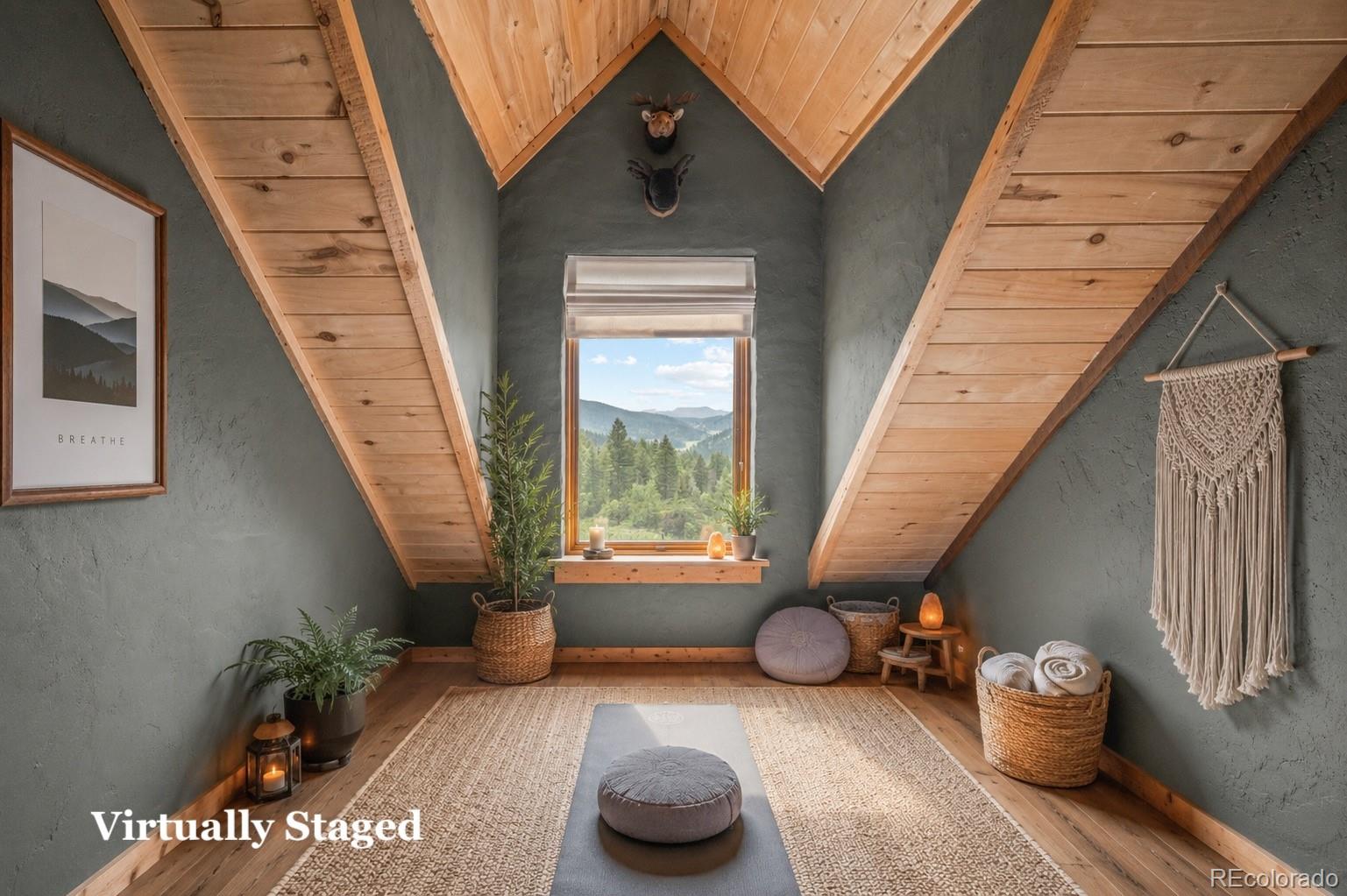 MLS Image #33 for 12345 s critchell lane,littleton, Colorado