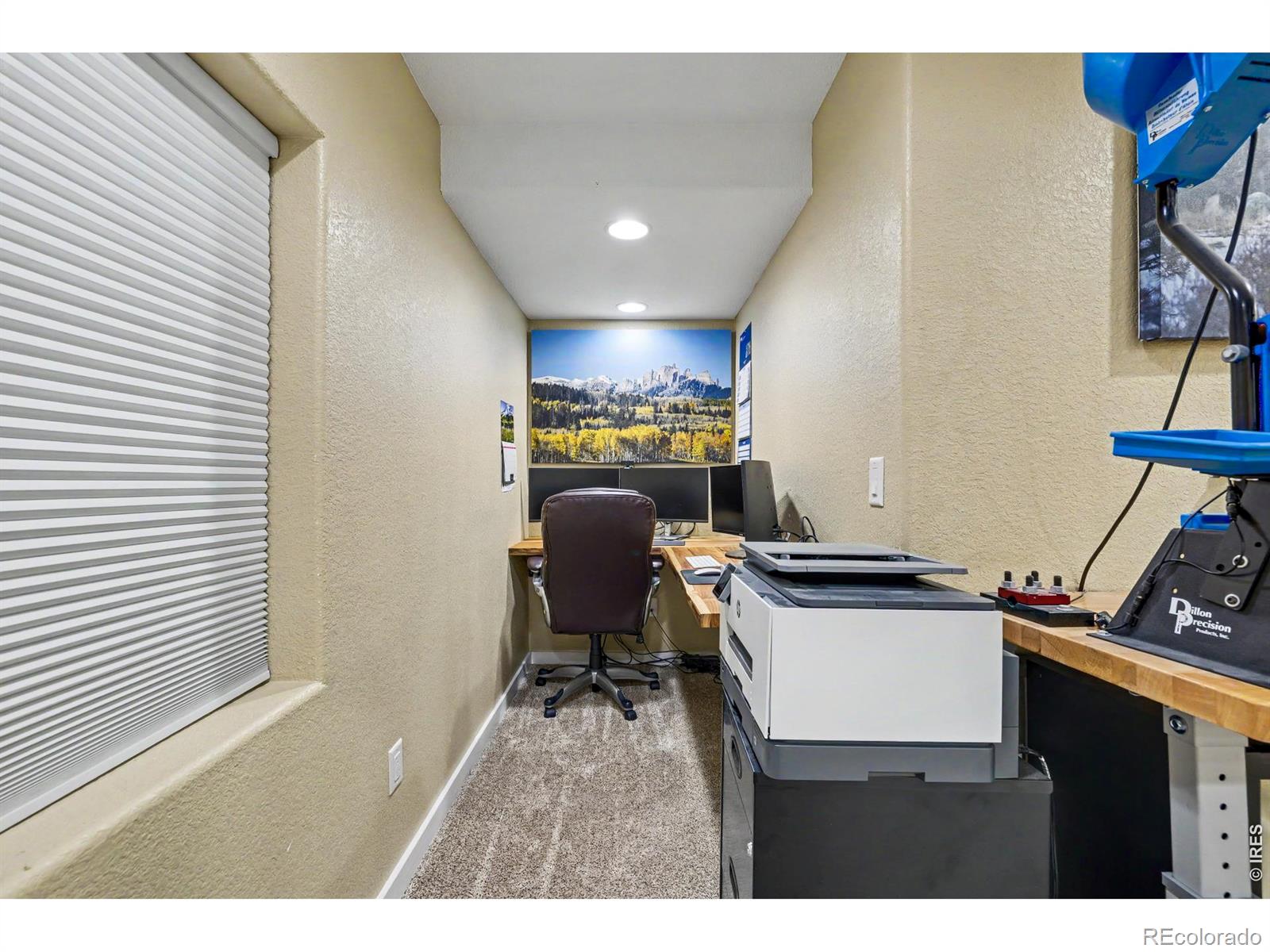 MLS Image #31 for 3101  zodiac place,loveland, Colorado