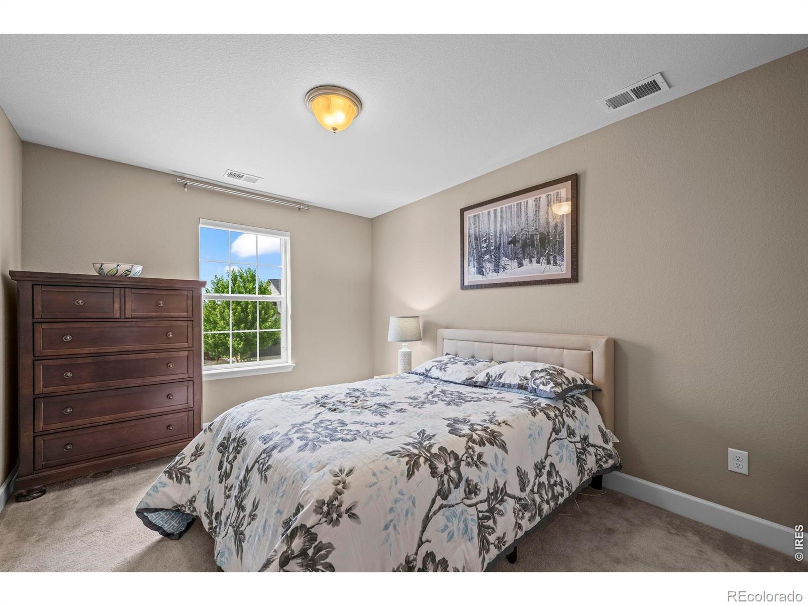 MLS Image #29 for 233  sunbeam court,erie, Colorado