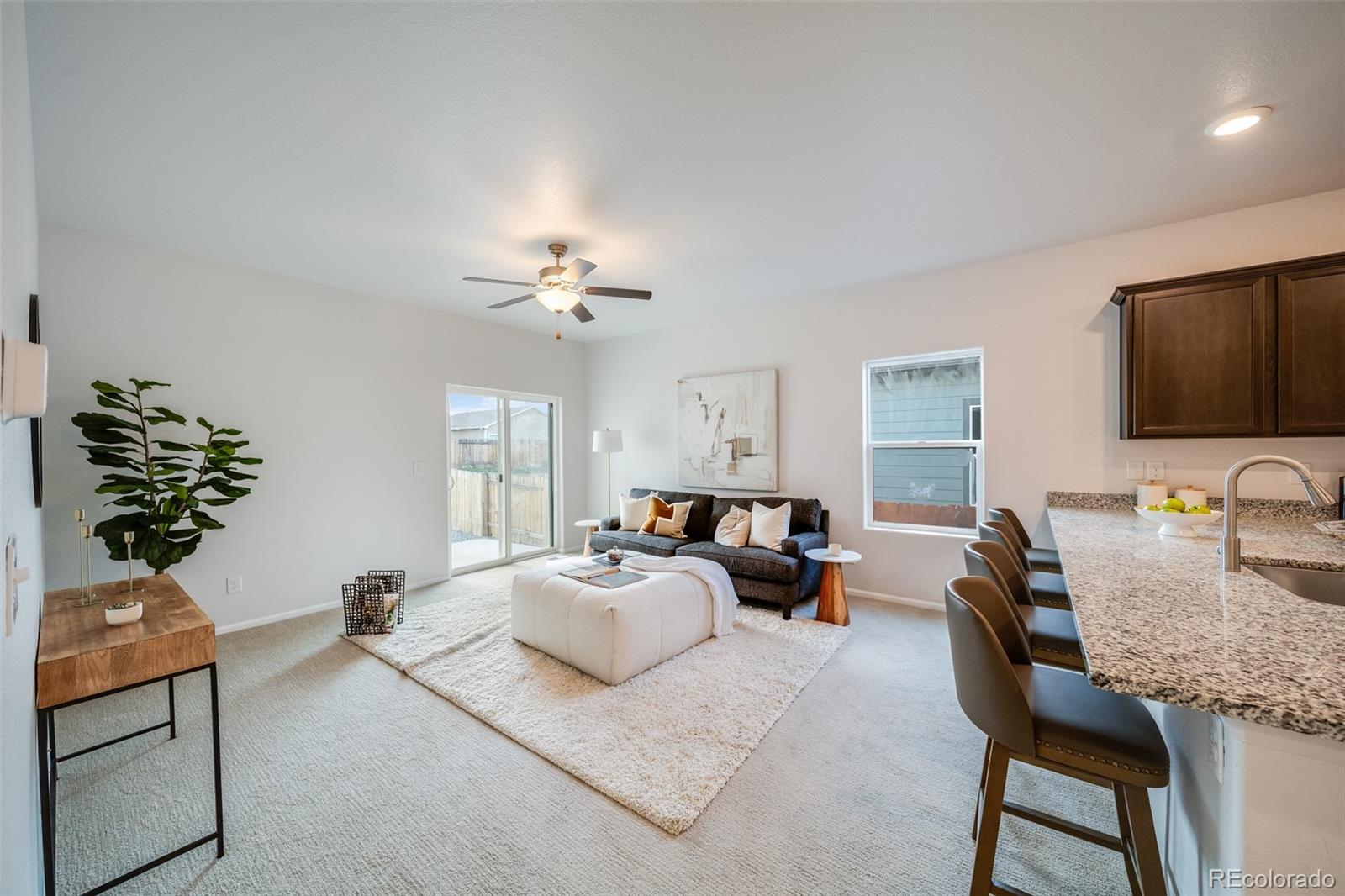 MLS Image #7 for 333  spruce street,bennett, Colorado