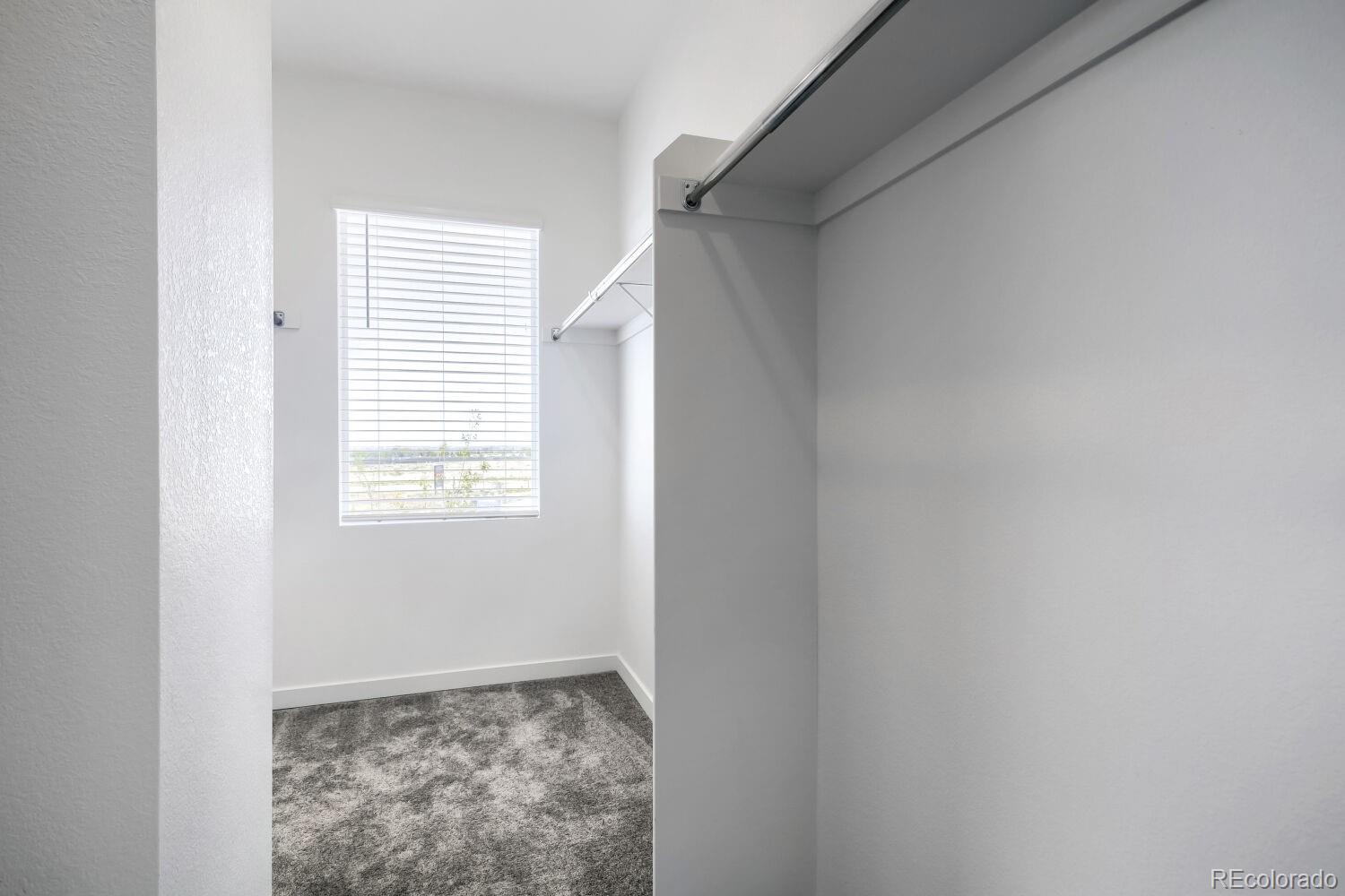 MLS Image #10 for 3005  gladstone avenue,loveland, Colorado