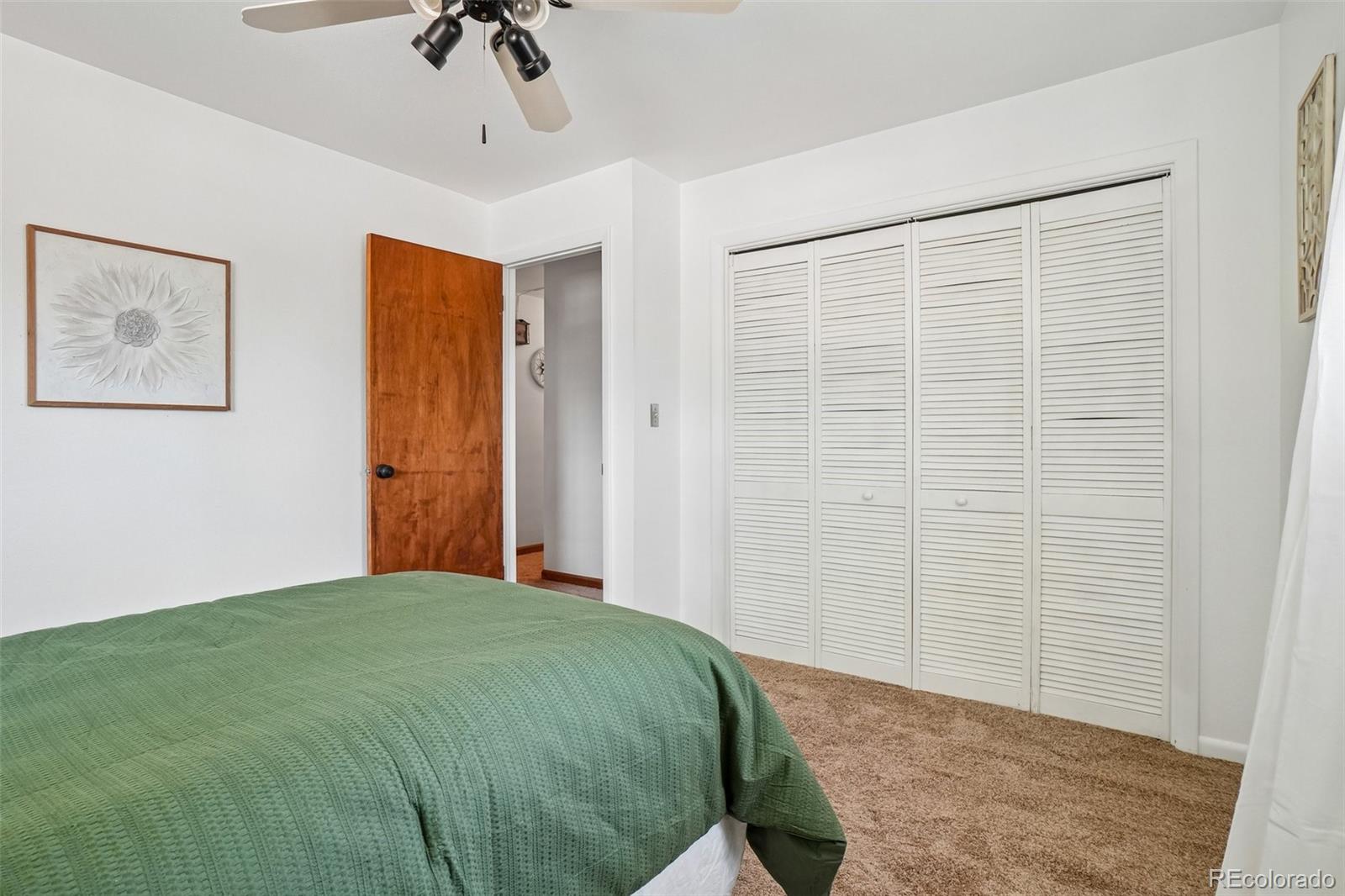 MLS Image #11 for 394 s 21st avenue,brighton, Colorado