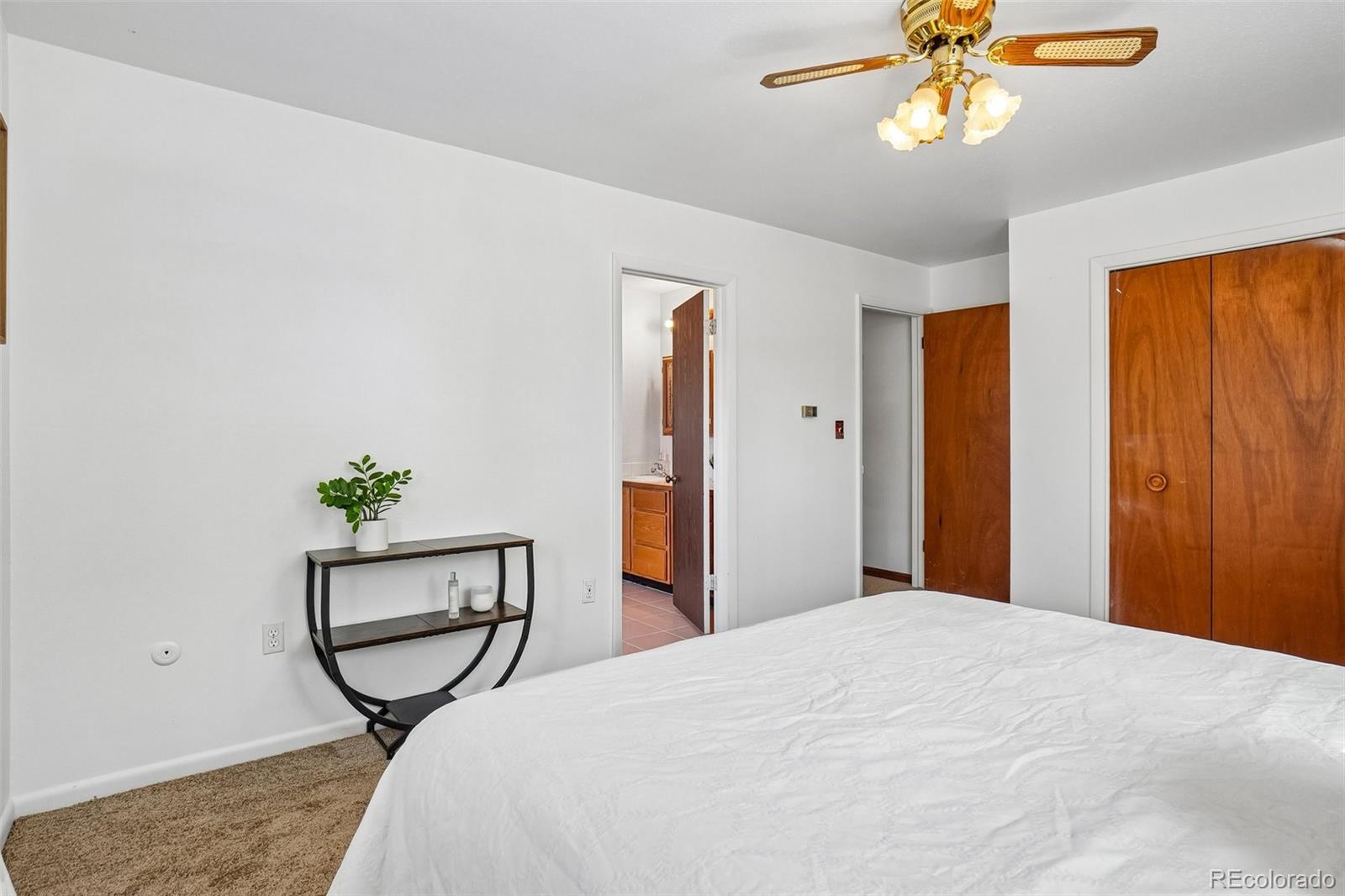 MLS Image #15 for 394 s 21st avenue,brighton, Colorado