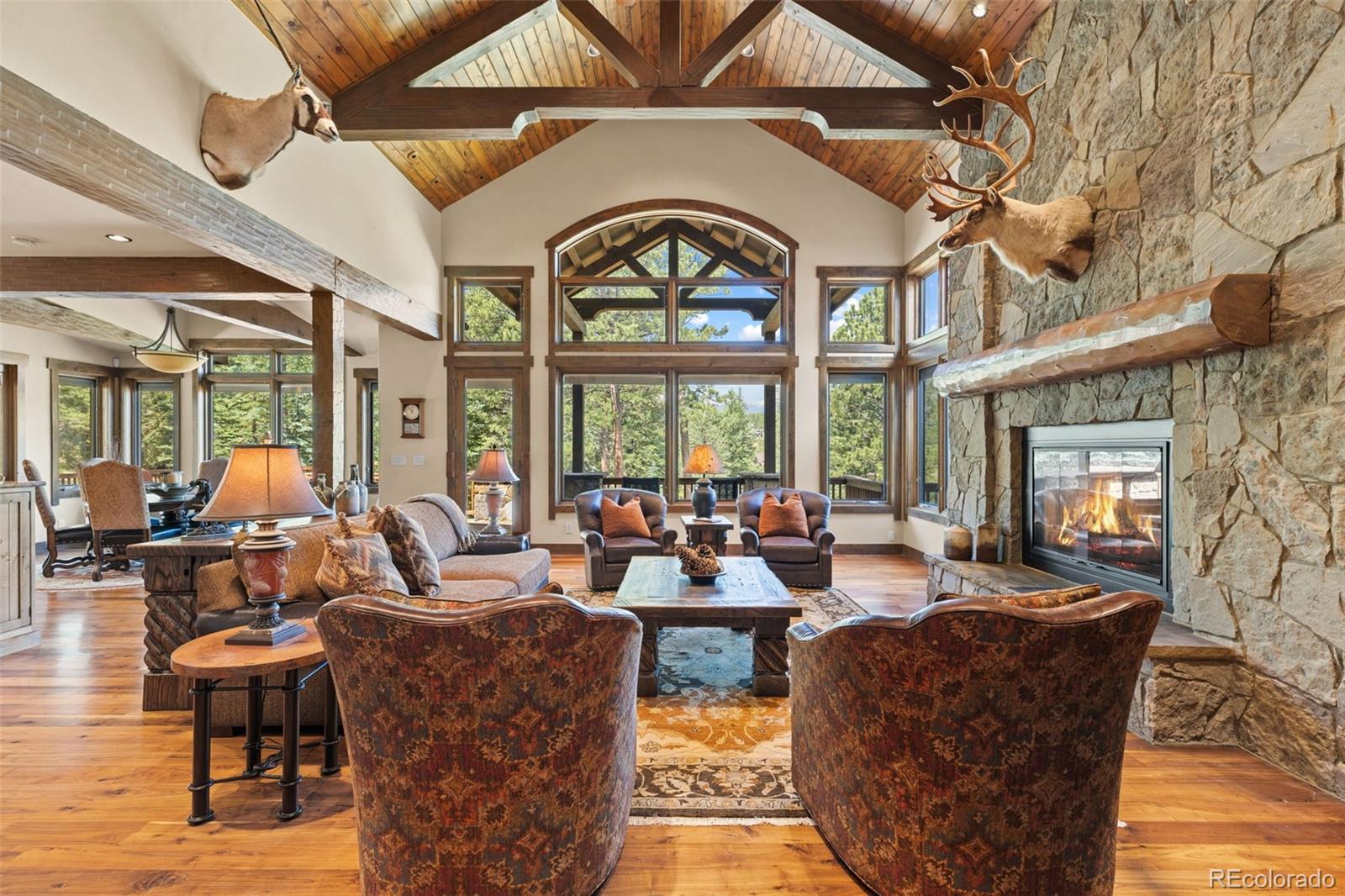 MLS Image #10 for 200  whiskey jay hill road,evergreen, Colorado