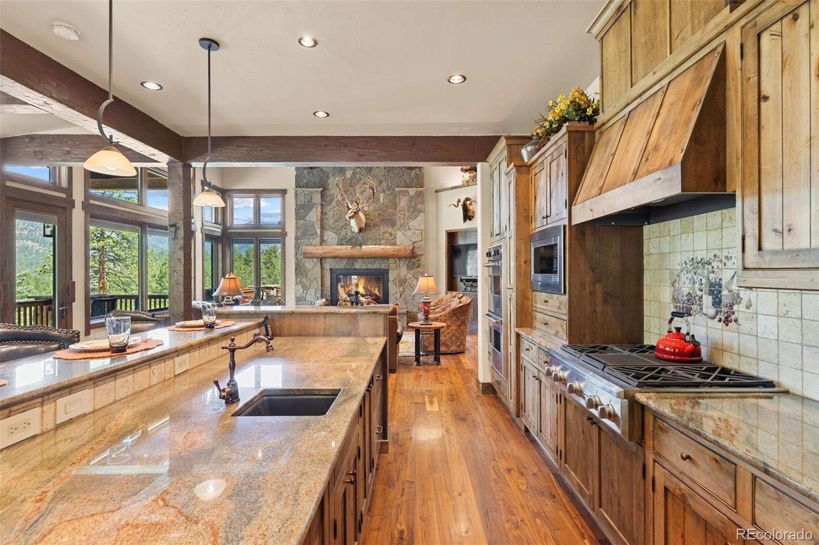 MLS Image #18 for 200  whiskey jay hill road,evergreen, Colorado
