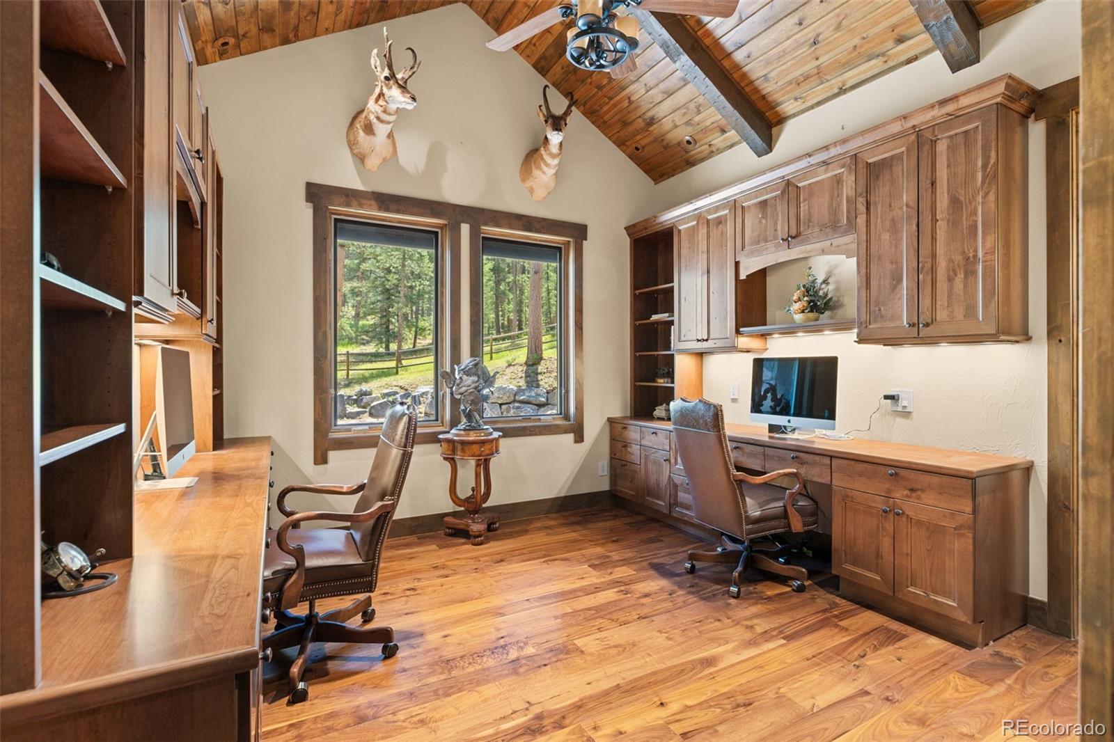 MLS Image #19 for 200  whiskey jay hill road,evergreen, Colorado