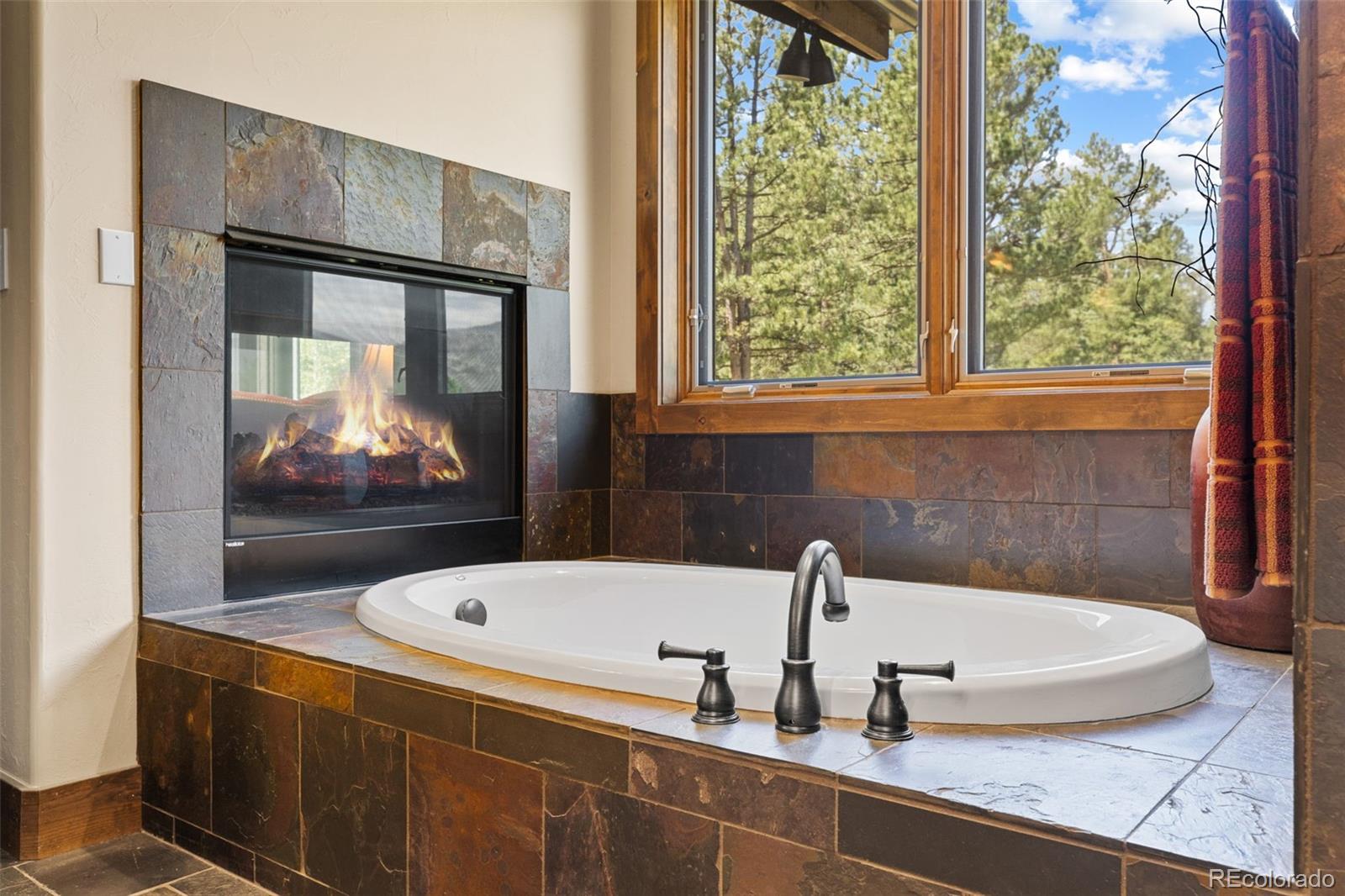 MLS Image #25 for 200  whiskey jay hill road,evergreen, Colorado