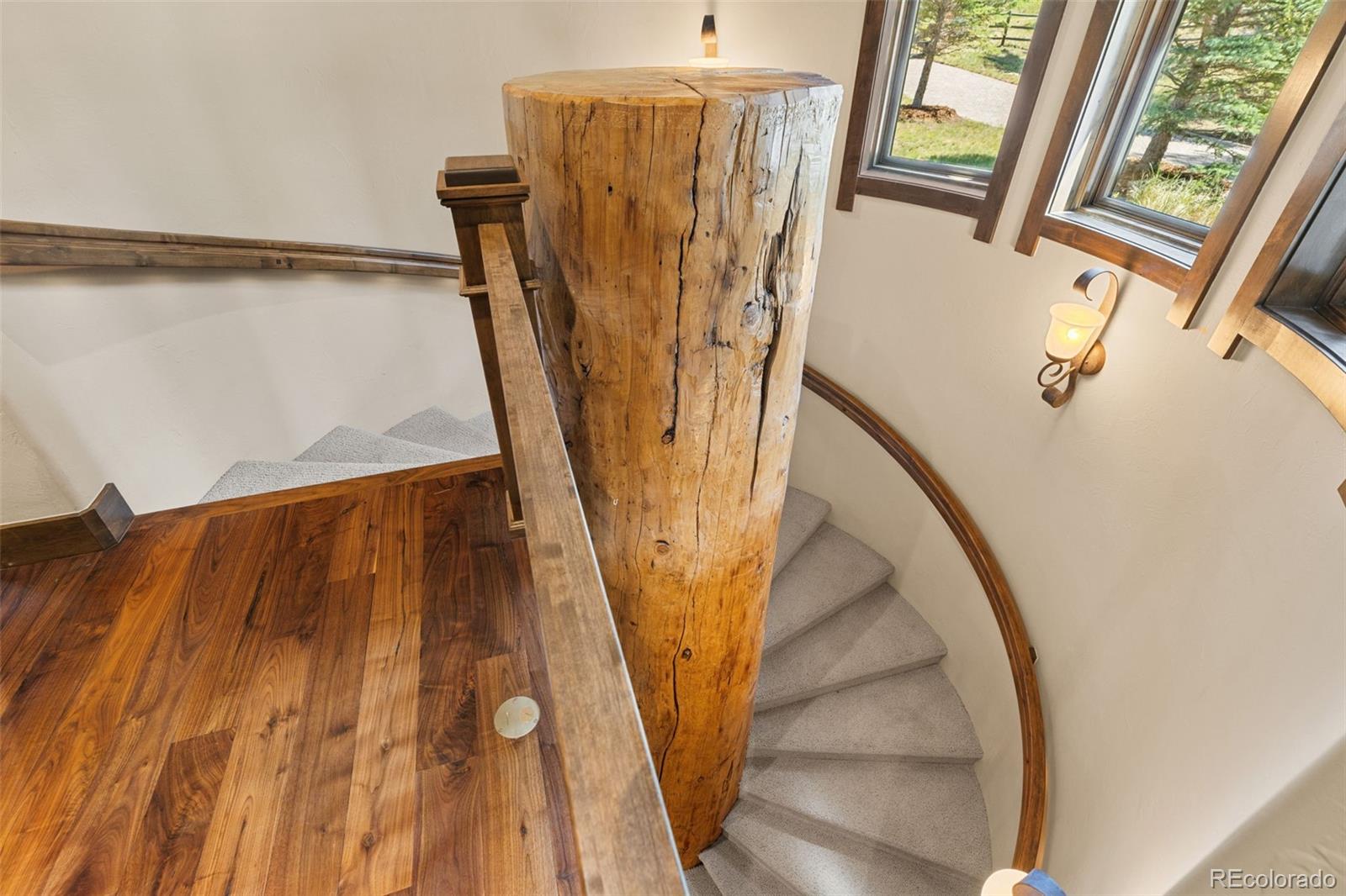 MLS Image #27 for 200  whiskey jay hill road,evergreen, Colorado