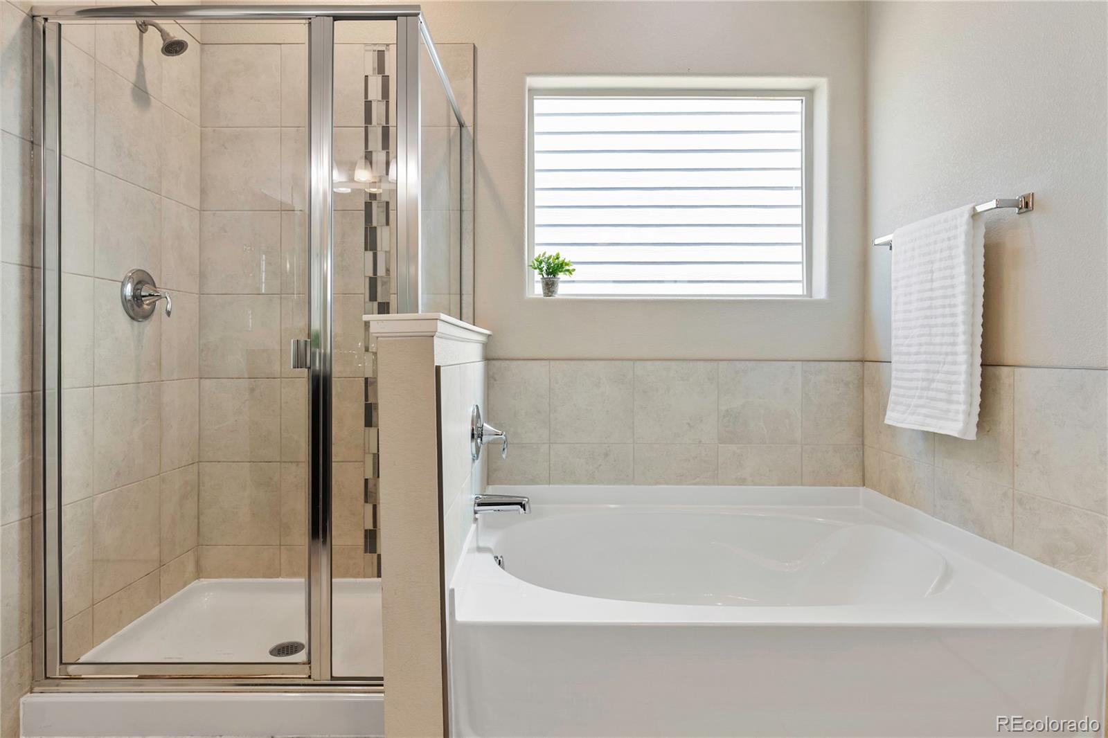 MLS Image #19 for 5957  mumford drive,colorado springs, Colorado