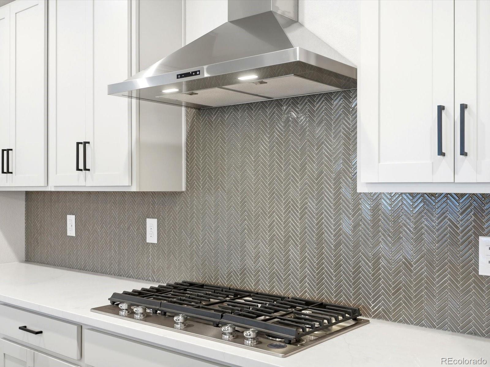MLS Image #13 for 2691 e 102nd place,thornton, Colorado
